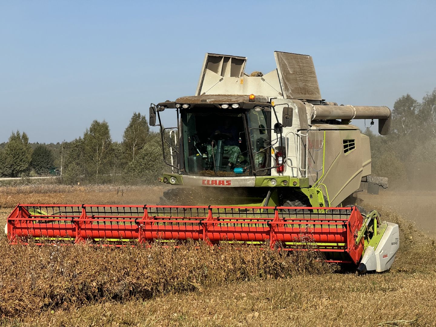 шаховская, уборка урожая, соя, рапс,