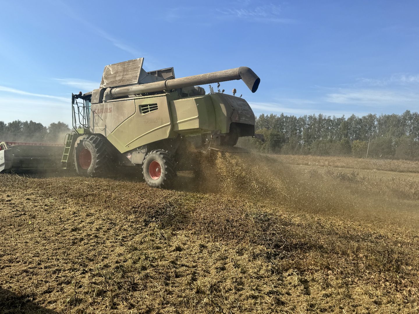 шаховская, уборка урожая, соя, рапс,