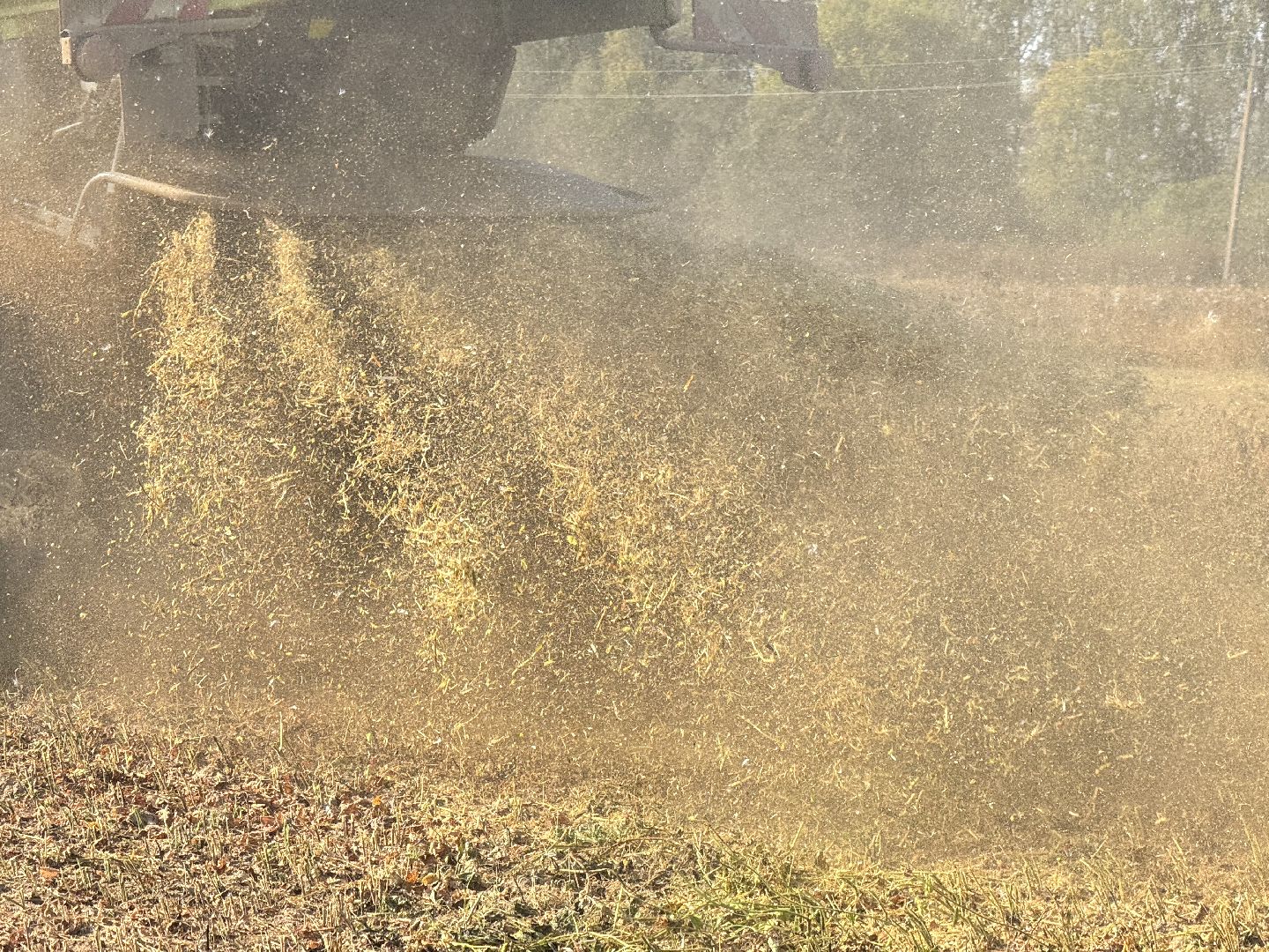 шаховская, уборка урожая, соя, рапс,