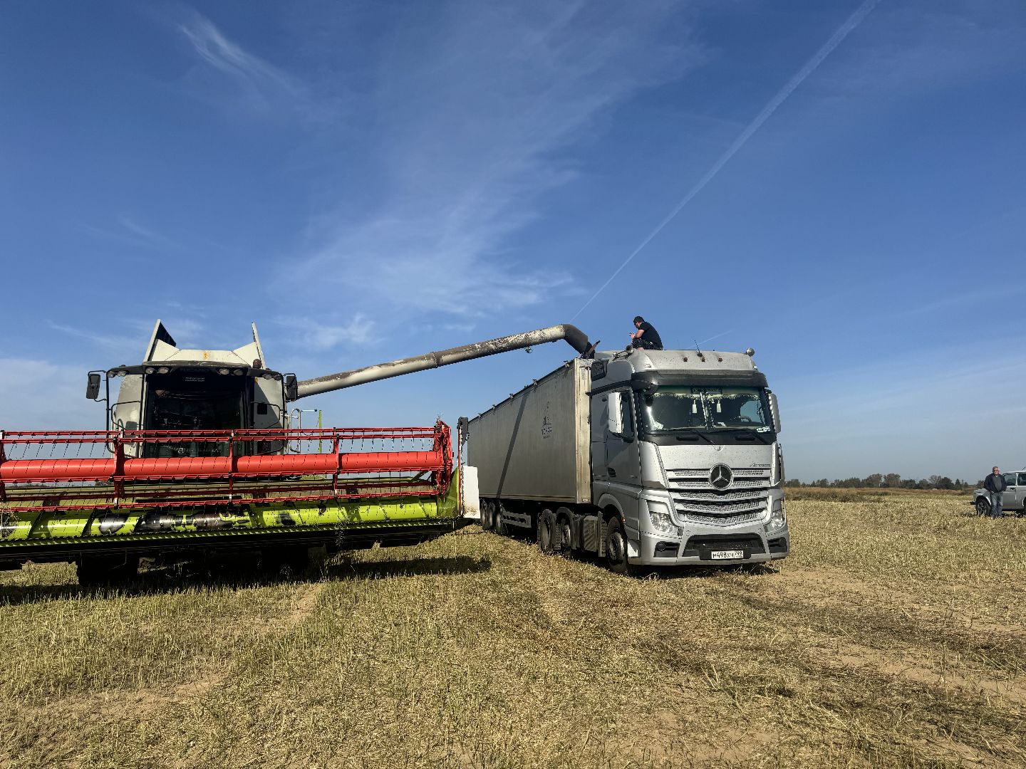 шаховская, уборка урожая, соя, рапс,