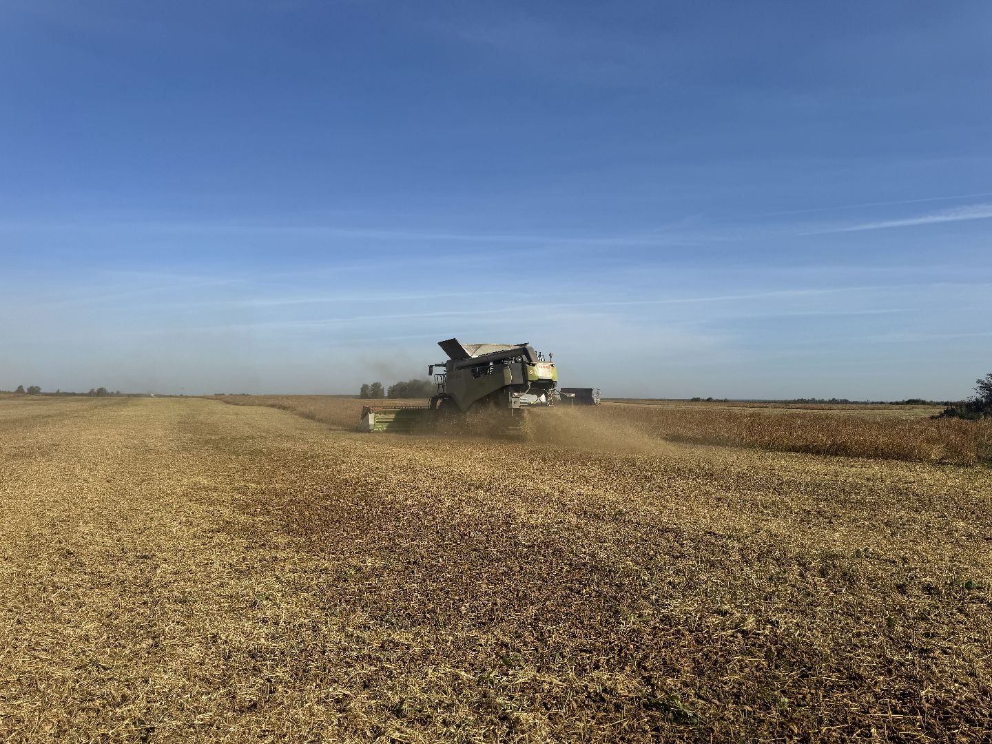 шаховская, уборка урожая, соя, рапс,