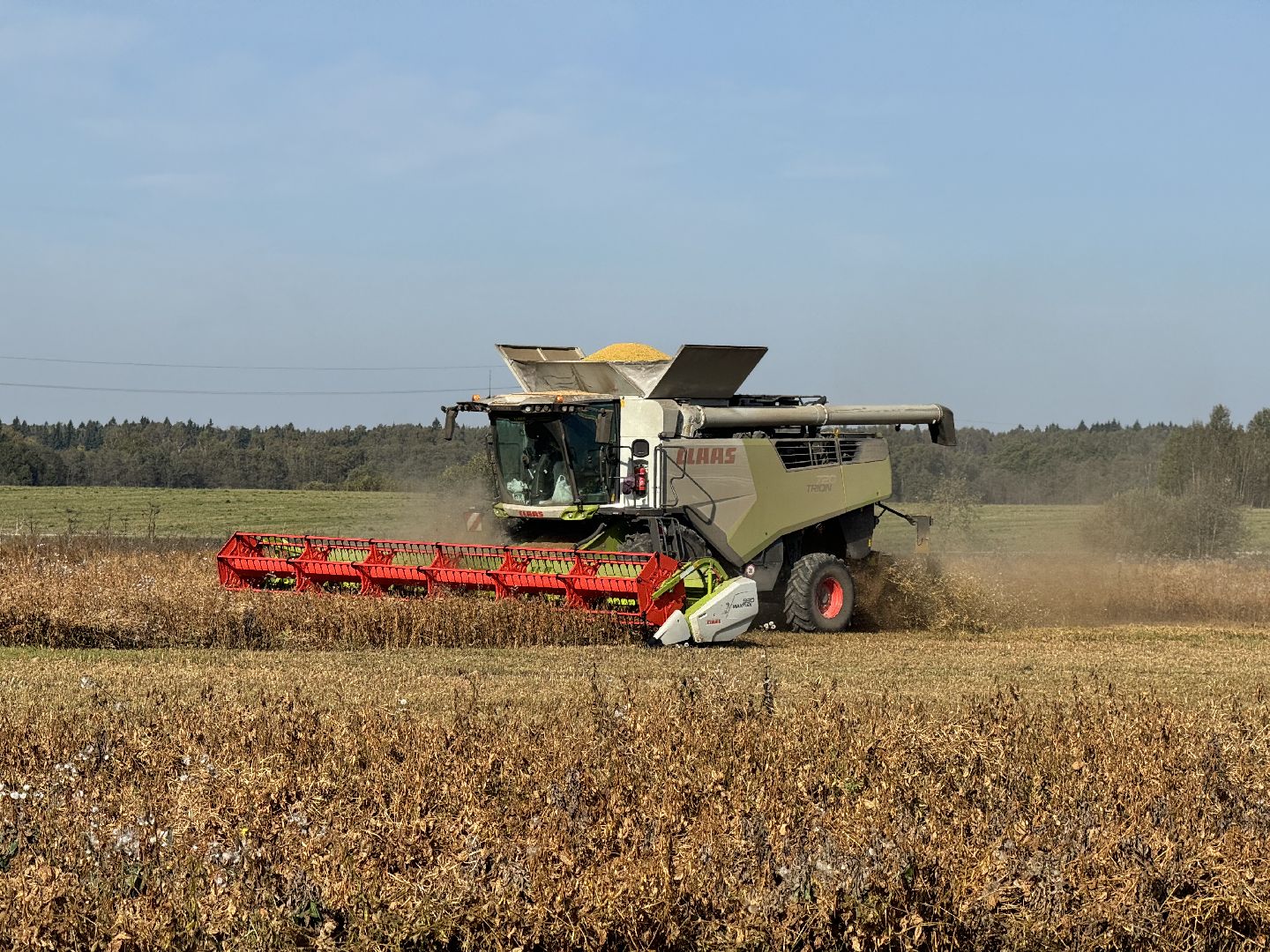 шаховская, уборка урожая, соя, рапс,