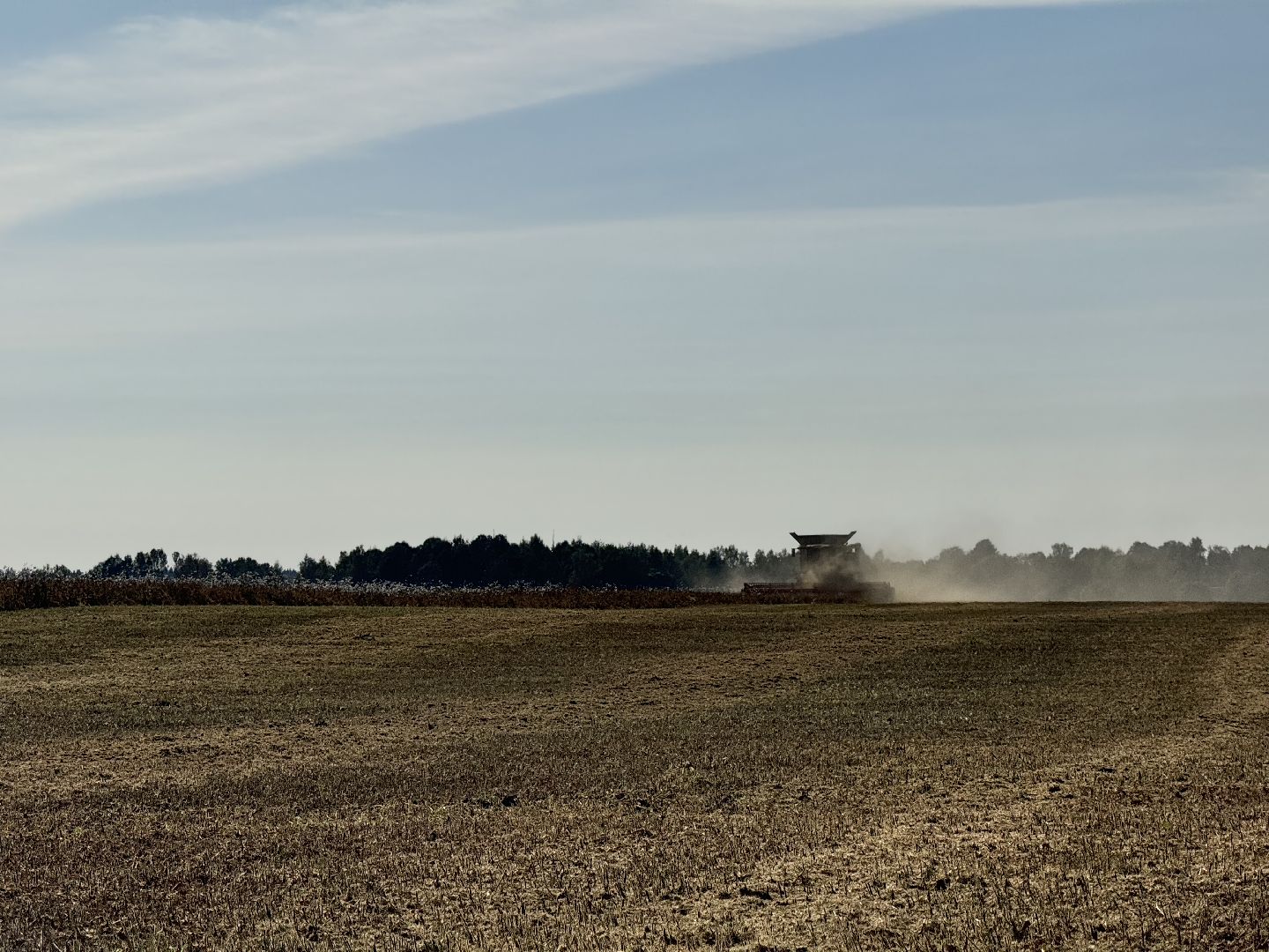 шаховская, уборка урожая, соя, рапс,