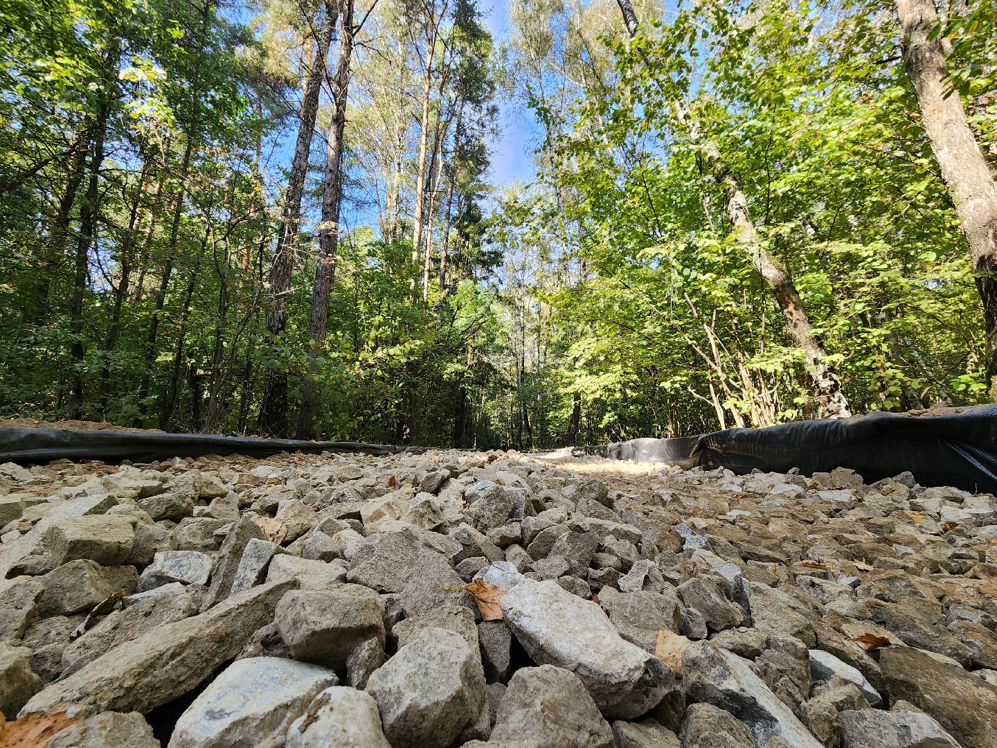 одинцово, трехгорка, парк имени лазутиной, веломаршрут, благоустройство,