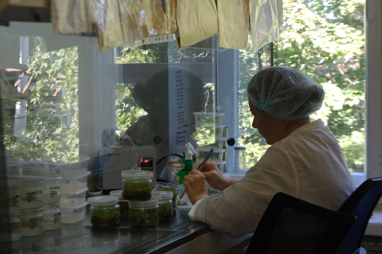 пущино, серпухов, сельское хозяйство, наука, производство, стартап,