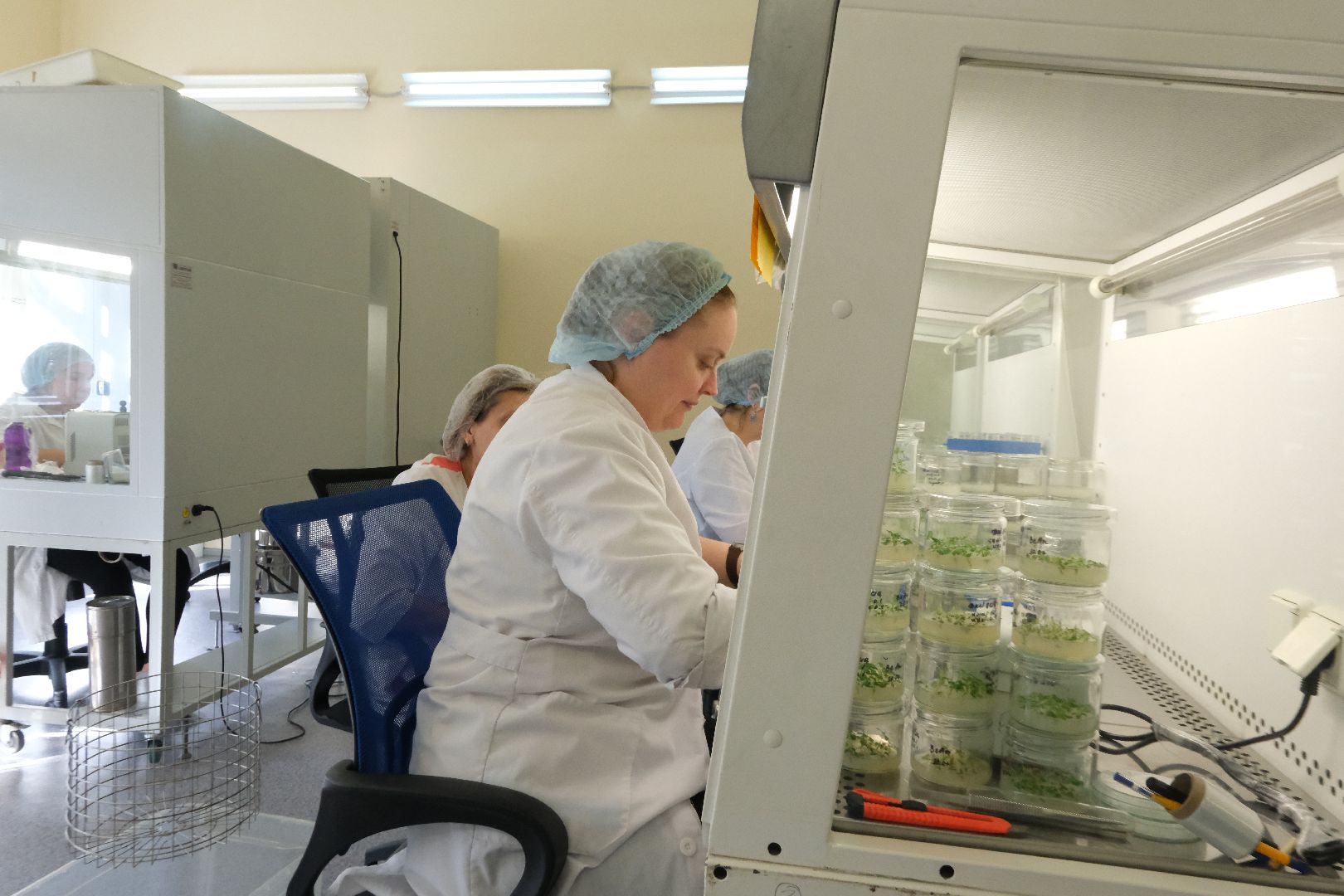 пущино, серпухов, сельское хозяйство, наука, производство, стартап,