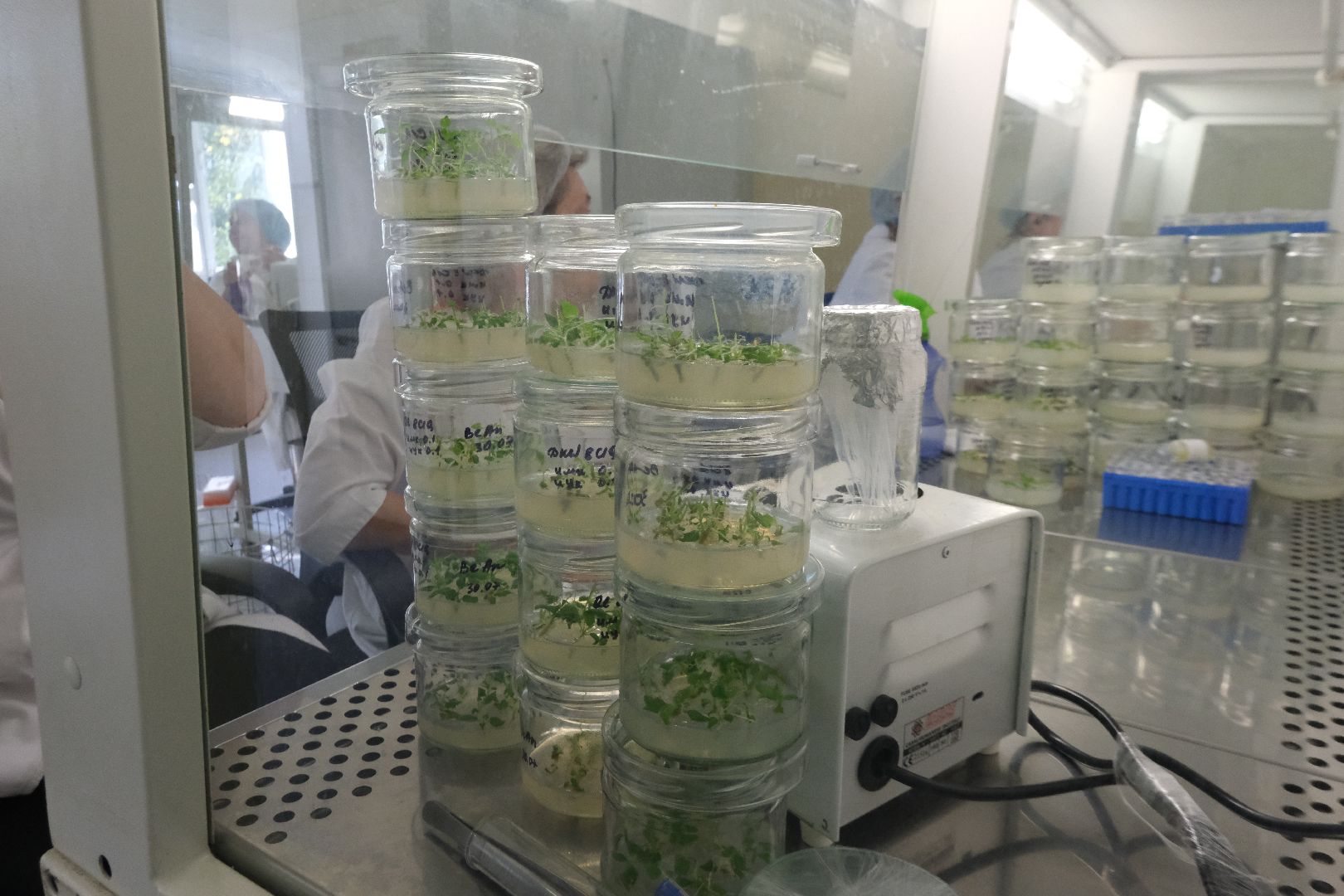 пущино, серпухов, сельское хозяйство, наука, производство, стартап,