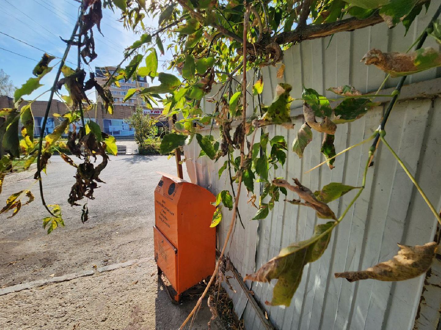 можайск, можайский городской округ, подмосковье, жкх, экоконтейнеры, сброса опасных отходов, утилизация опасных отходов,
