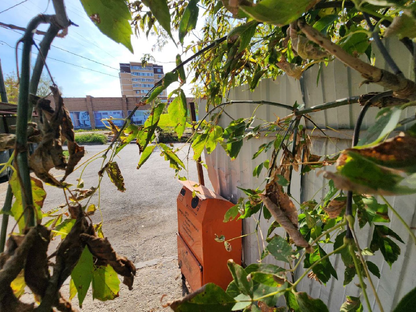 можайск, можайский городской округ, подмосковье, жкх, экоконтейнеры, сброса опасных отходов, утилизация опасных отходов,