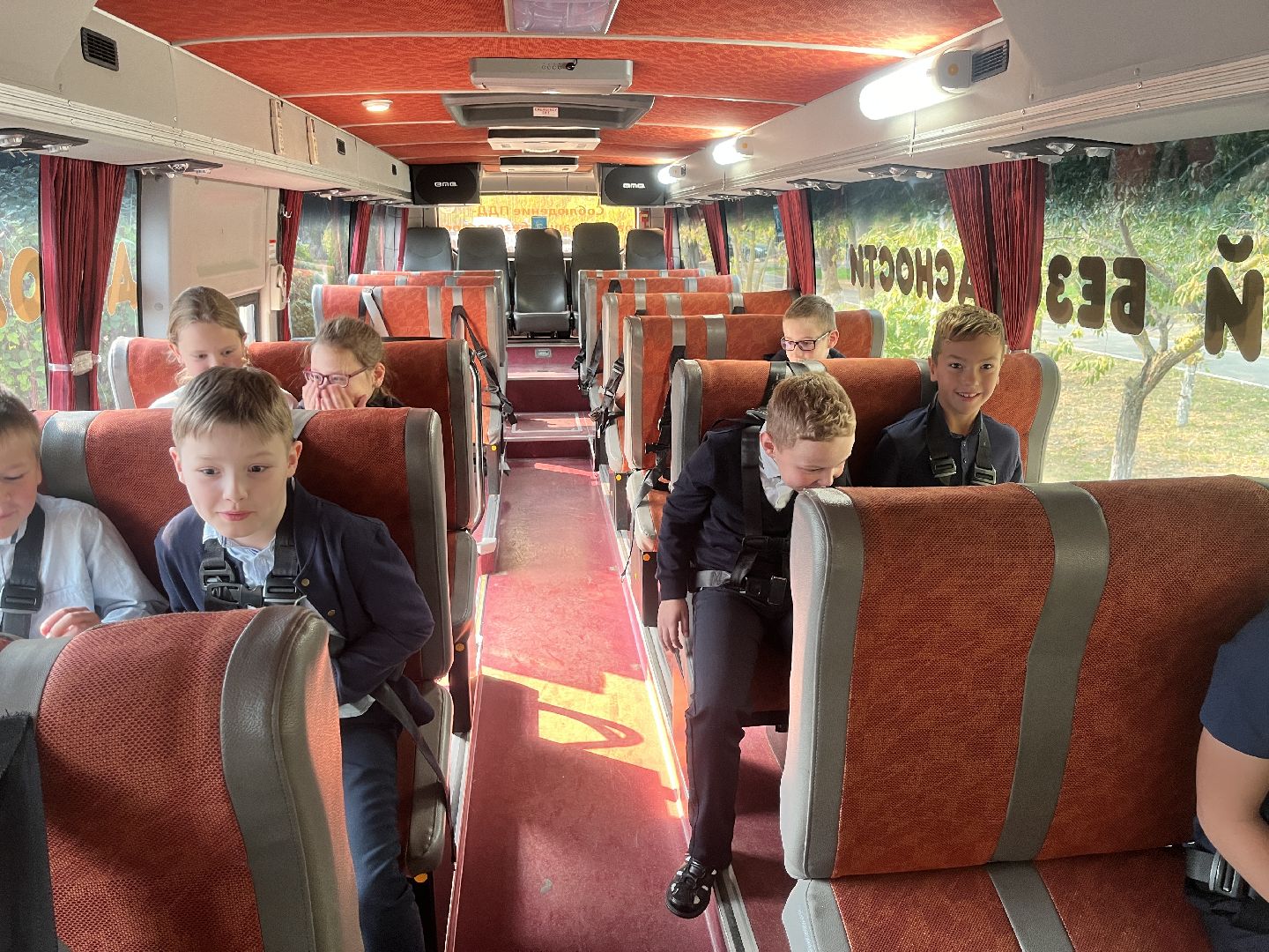 безопасное движение, безопасность, ремень безопасности, автобус,