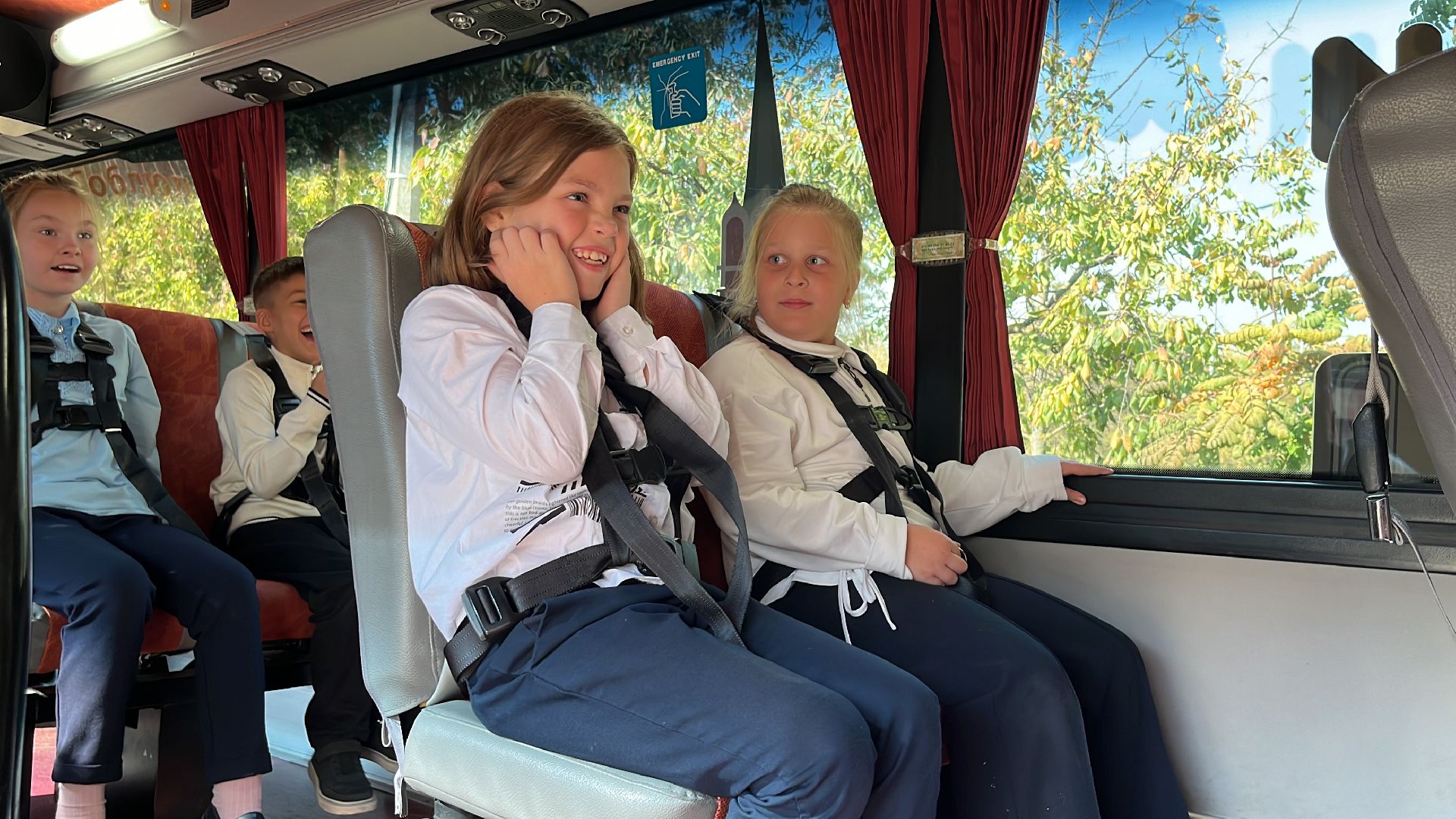 безопасное движение, безопасность, ремень безопасности, автобус,