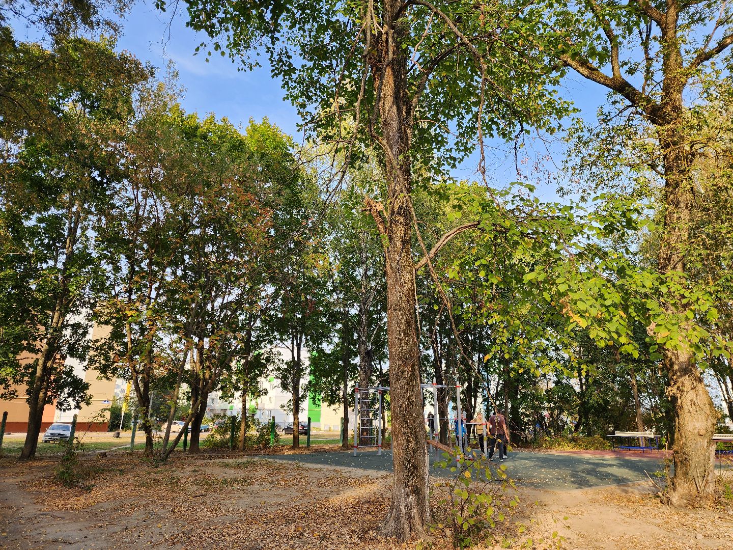 ногинск-9, жители, общество, спорт, благоустройство, оперативный выезд, детская площадка, спортивная площадка,