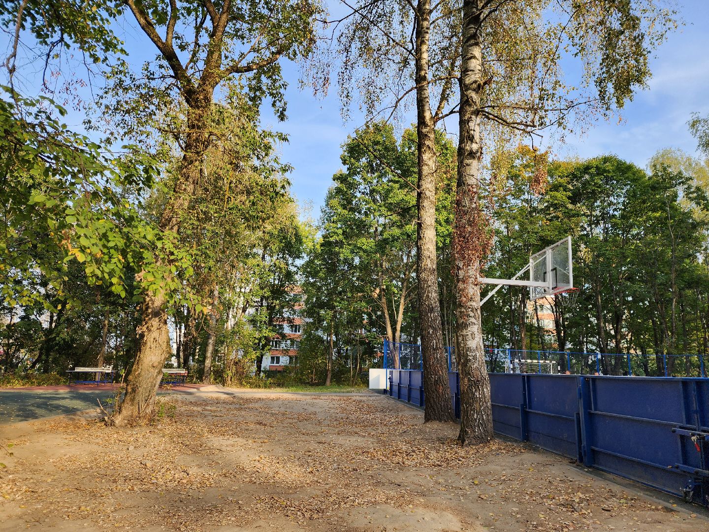 ногинск-9, жители, общество, спорт, благоустройство, оперативный выезд, детская площадка, спортивная площадка,