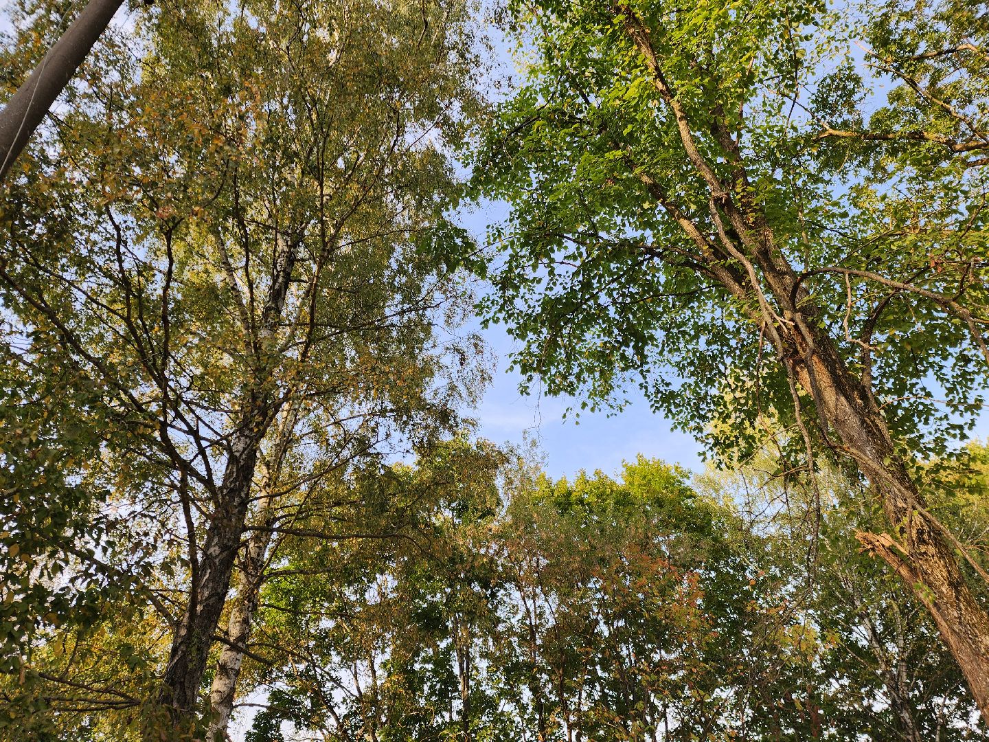 ногинск-9, жители, общество, спорт, благоустройство, оперативный выезд, детская площадка, спортивная площадка,