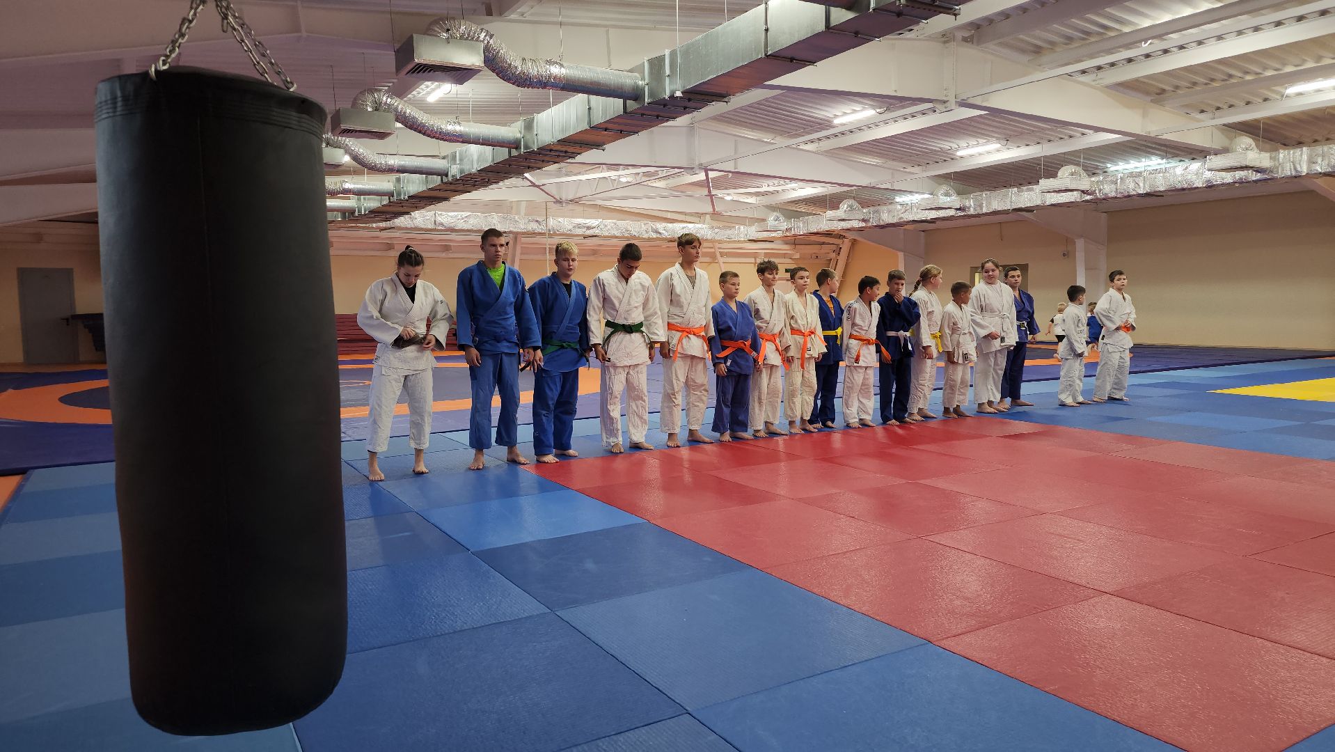 борьба самбо и дзюдо, спорт, спортивная школа олимпийского резерва, Старая Купавна, Богордский городской округ,