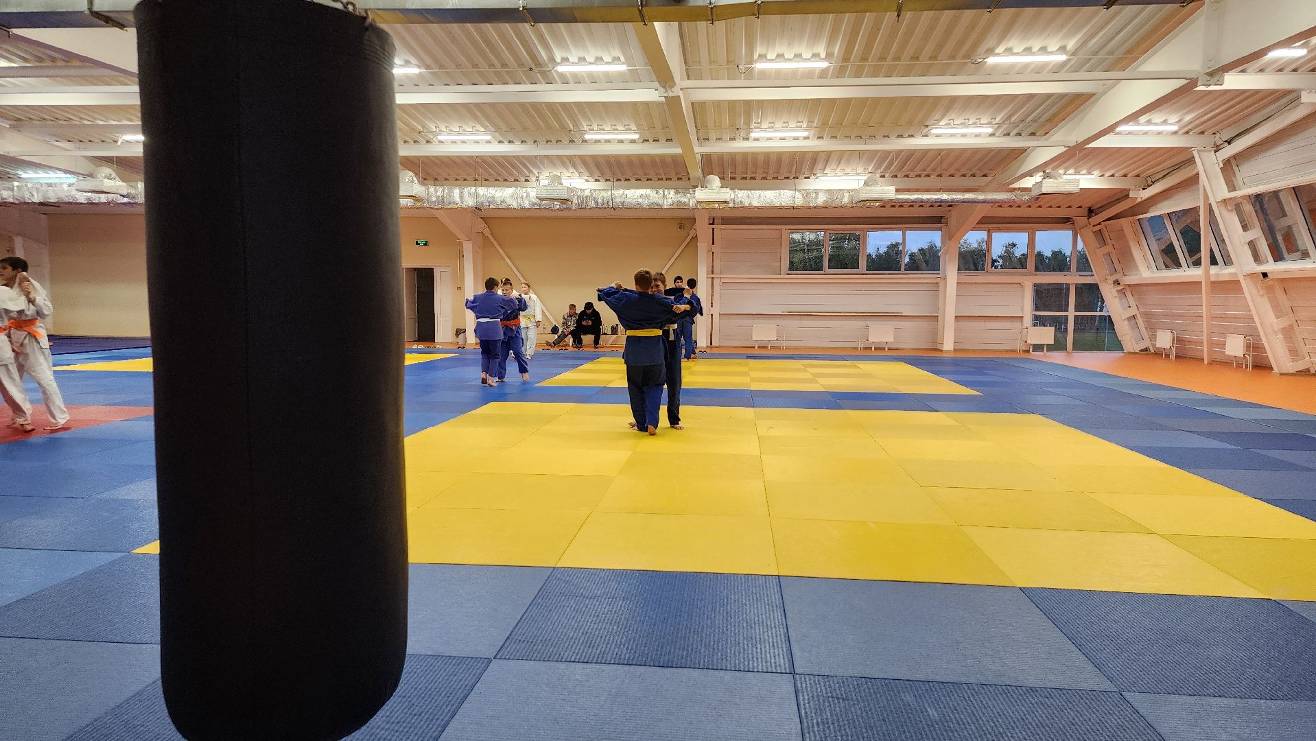 борьба самбо и дзюдо, спорт, спортивная школа олимпийского резерва, Старая Купавна, Богордский городской округ,