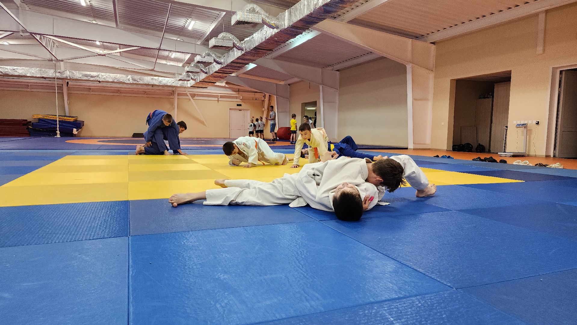 борьба самбо и дзюдо, спорт, спортивная школа олимпийского резерва, Старая Купавна, Богордский городской округ,