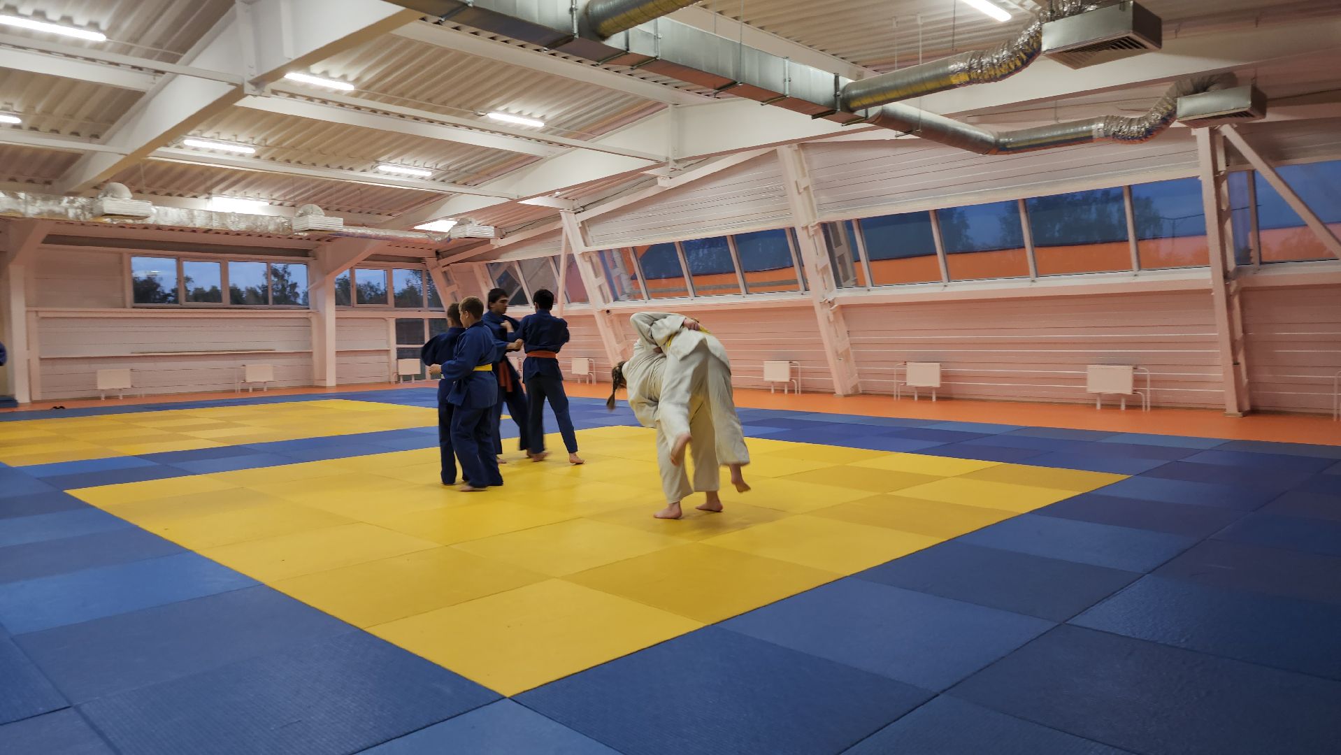 борьба самбо и дзюдо, спорт, спортивная школа олимпийского резерва, Старая Купавна, Богордский городской округ,