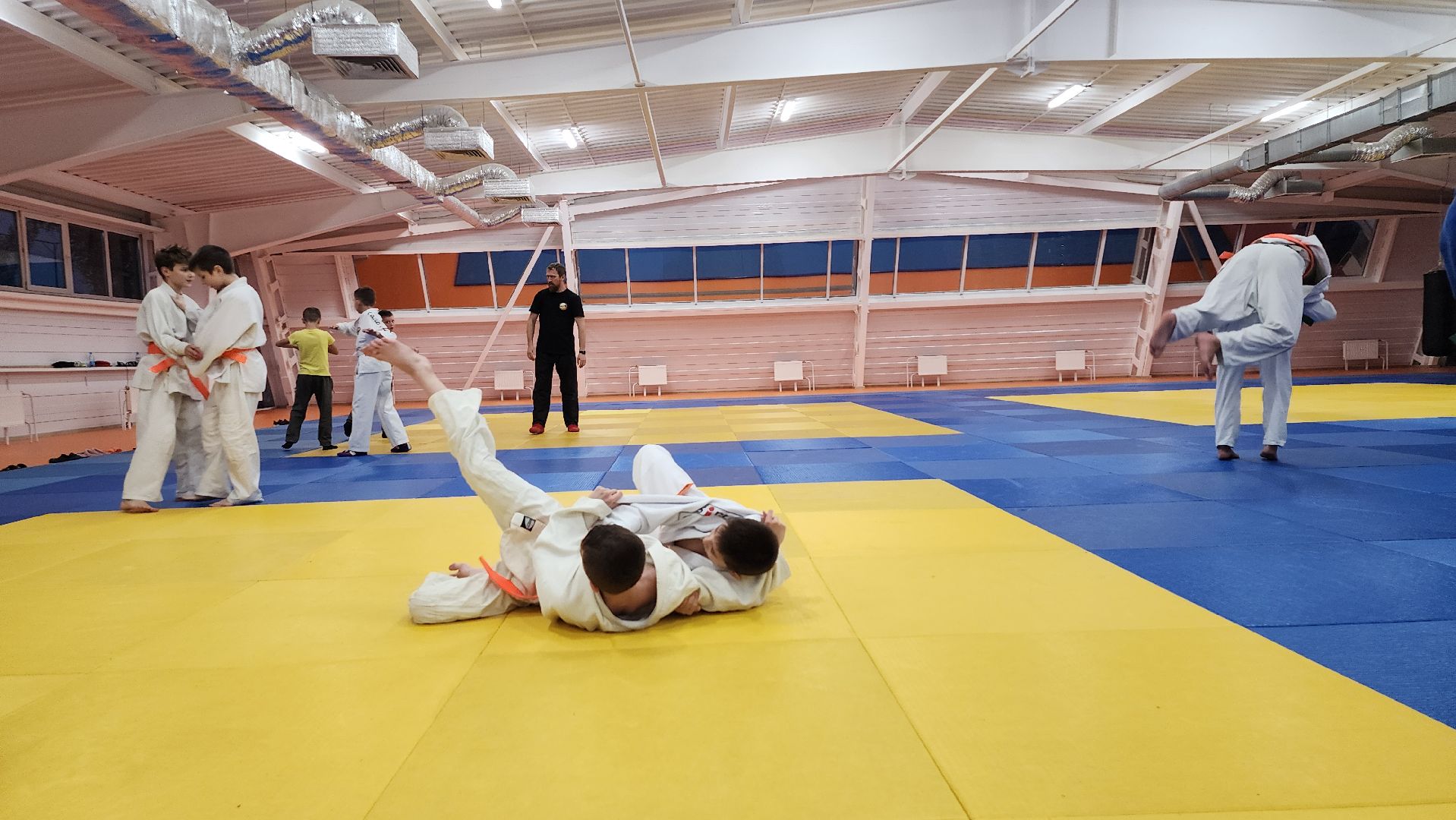 борьба самбо и дзюдо, спорт, спортивная школа олимпийского резерва, Старая Купавна, Богордский городской округ,