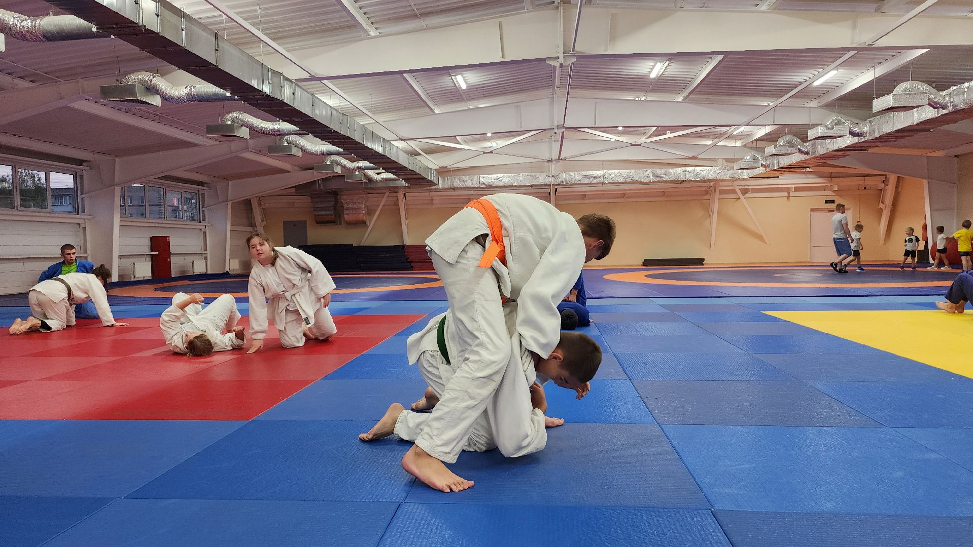 борьба самбо и дзюдо, спорт, спортивная школа олимпийского резерва, Старая Купавна, Богордский городской округ,