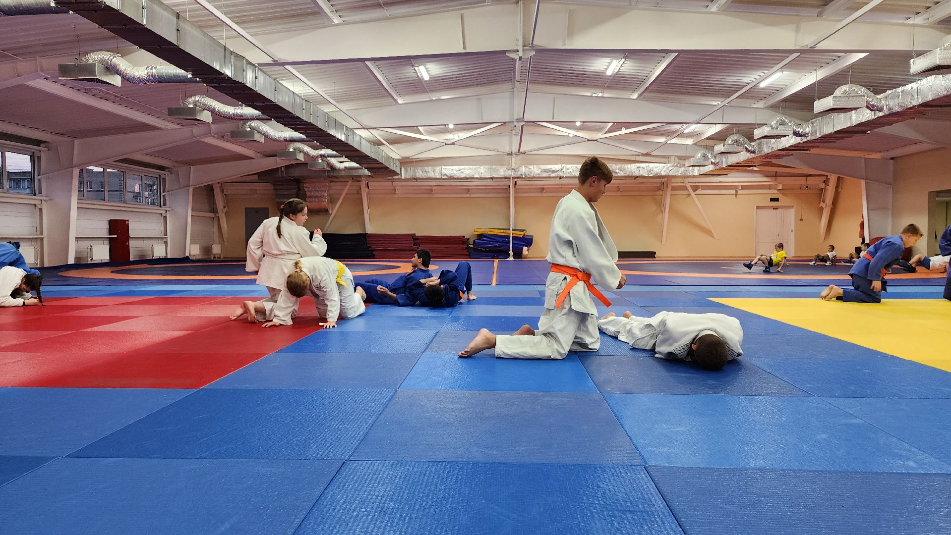 борьба самбо и дзюдо, спорт, спортивная школа олимпийского резерва, Старая Купавна, Богордский городской округ,