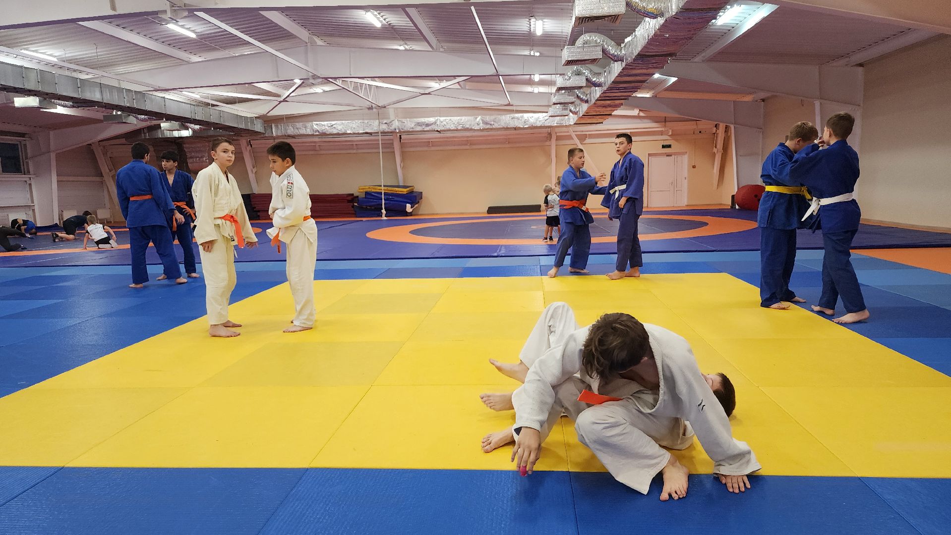 борьба самбо и дзюдо, спорт, спортивная школа олимпийского резерва, Старая Купавна, Богордский городской округ,