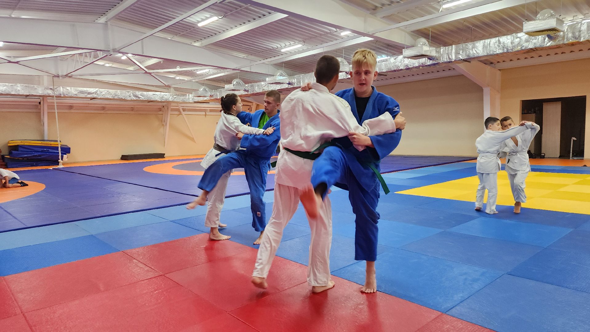 борьба самбо и дзюдо, спорт, спортивная школа олимпийского резерва, Старая Купавна, Богордский городской округ,