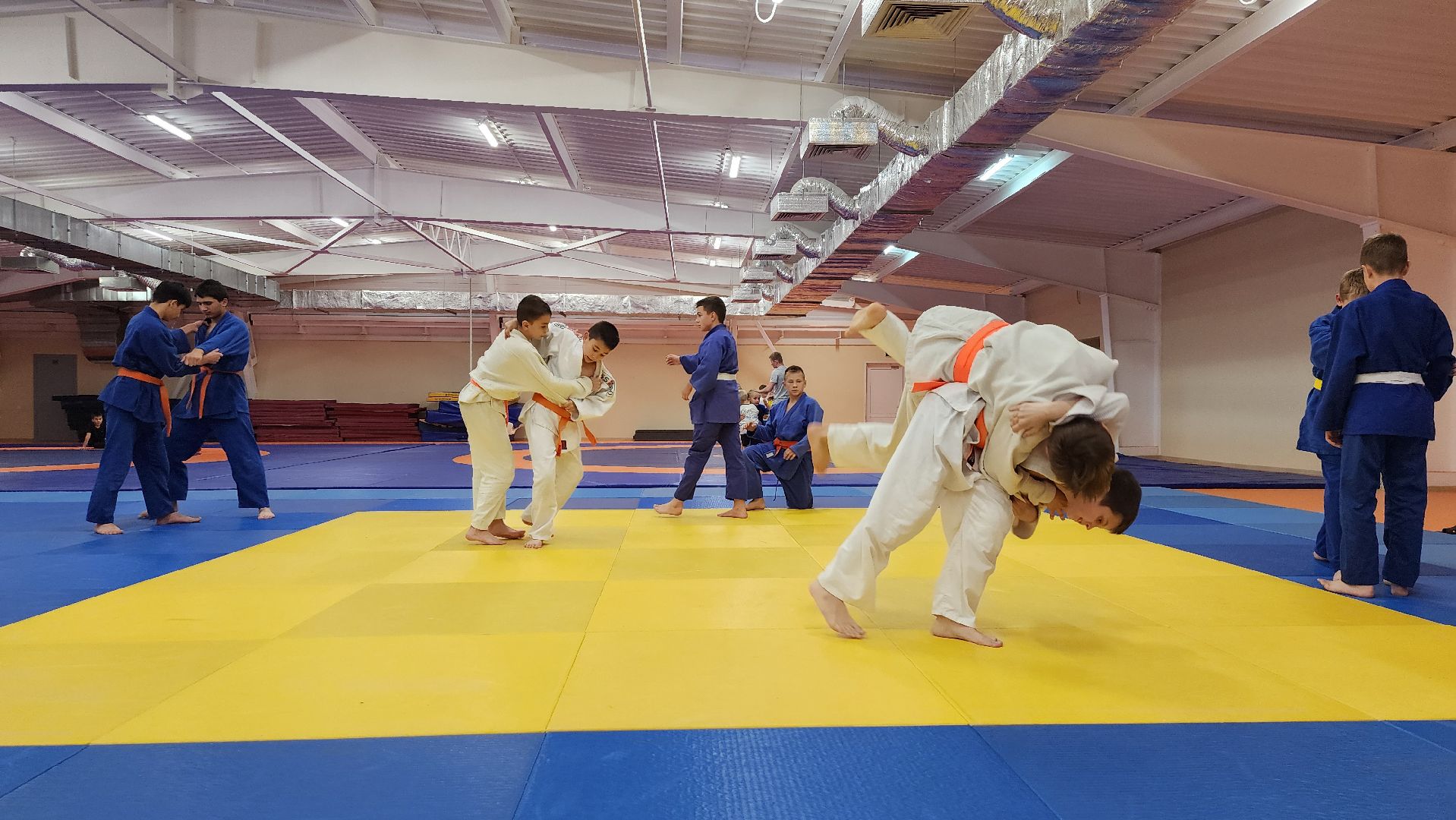 борьба самбо и дзюдо, спорт, спортивная школа олимпийского резерва, Старая Купавна, Богордский городской округ,