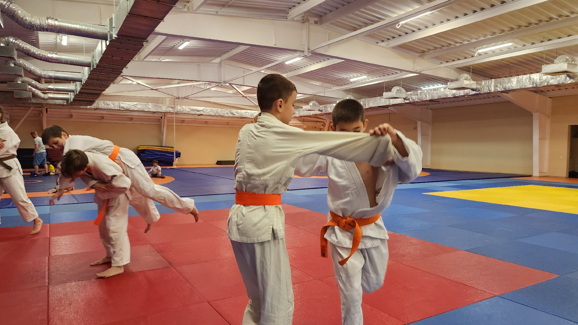 борьба самбо и дзюдо, спорт, спортивная школа олимпийского резерва, Старая Купавна, Богордский городской округ,