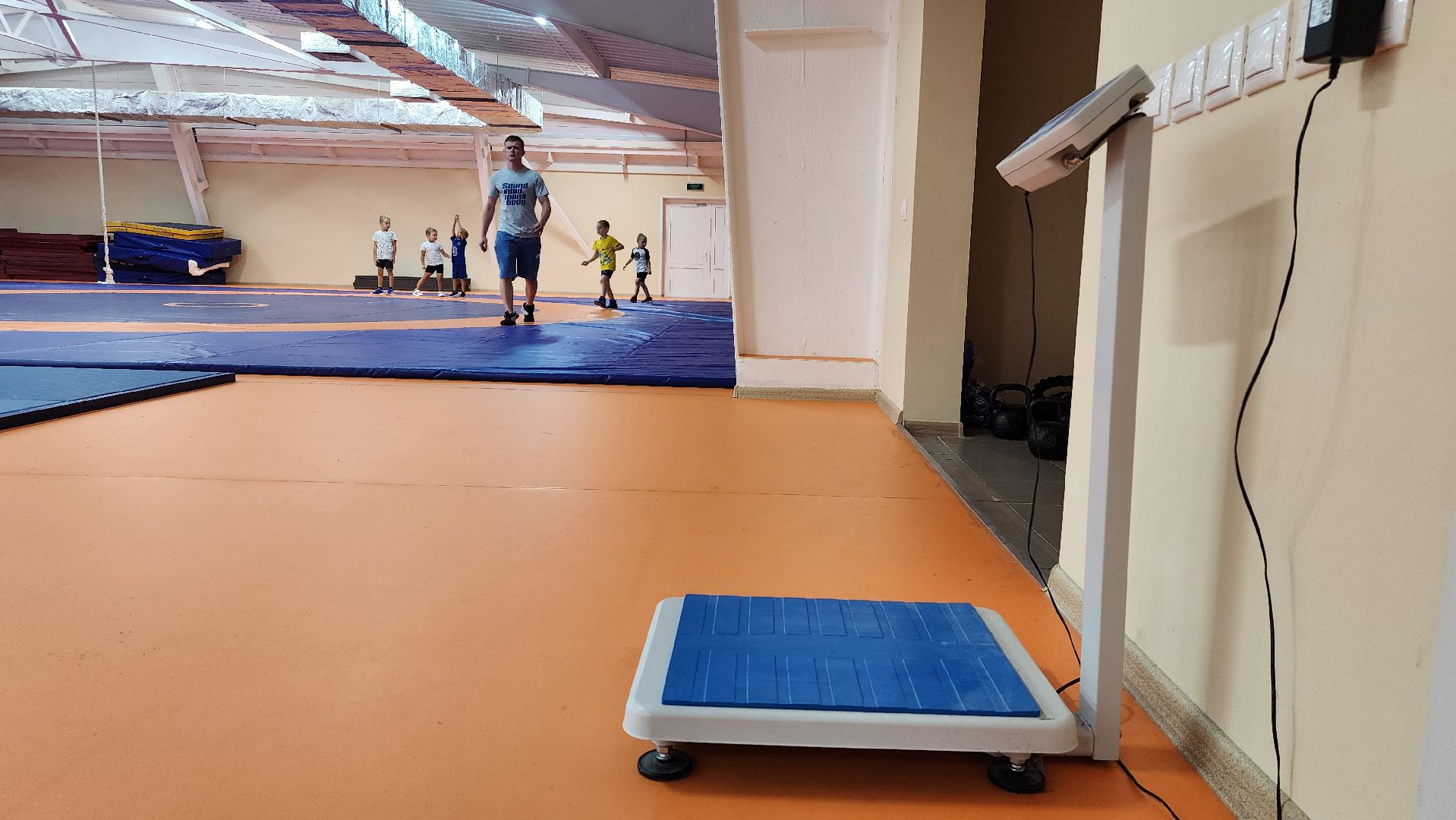 борьба самбо и дзюдо, спорт, спортивная школа олимпийского резерва, Старая Купавна, Богордский городской округ,