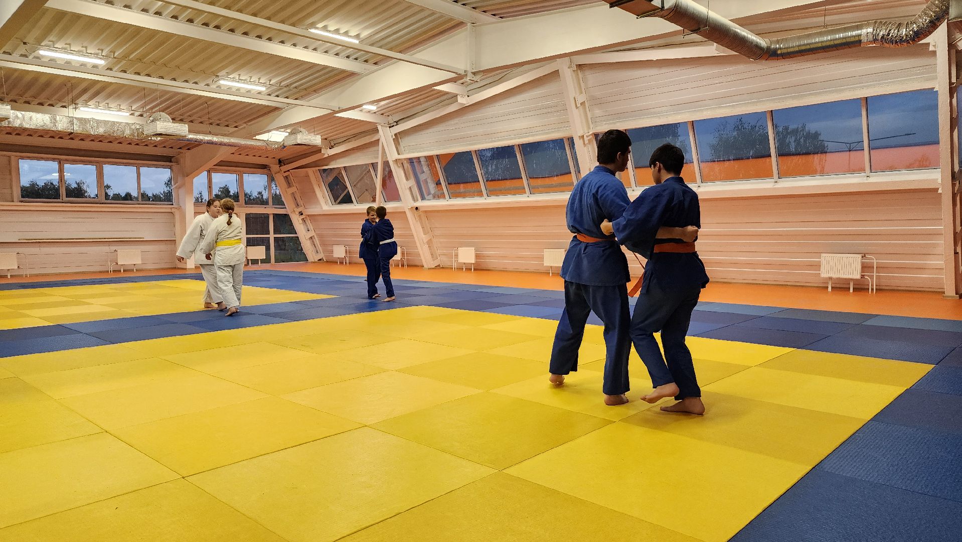 борьба самбо и дзюдо, спорт, спортивная школа олимпийского резерва, Старая Купавна, Богордский городской округ,