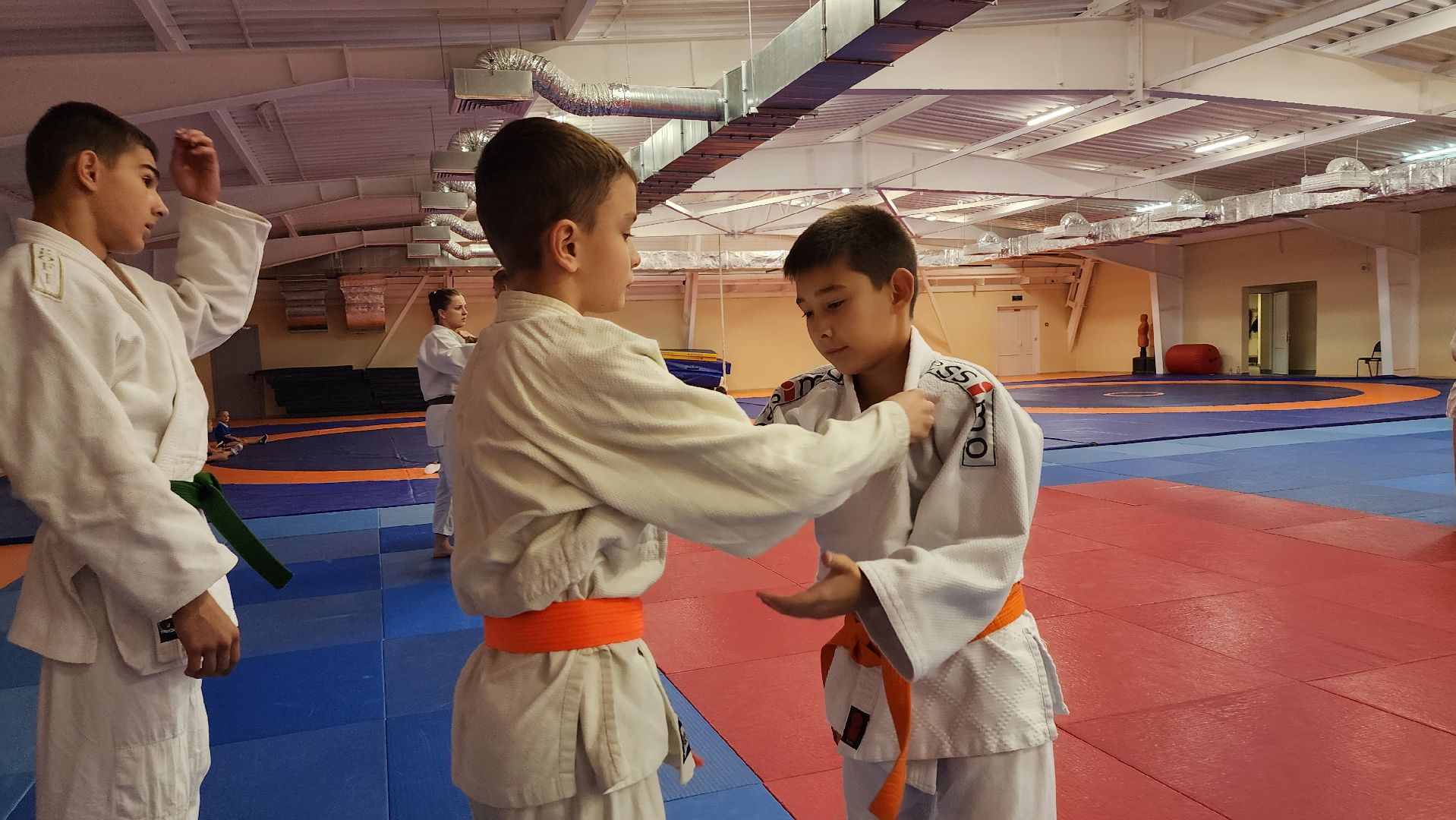 борьба самбо и дзюдо, спорт, спортивная школа олимпийского резерва, Старая Купавна, Богордский городской округ,