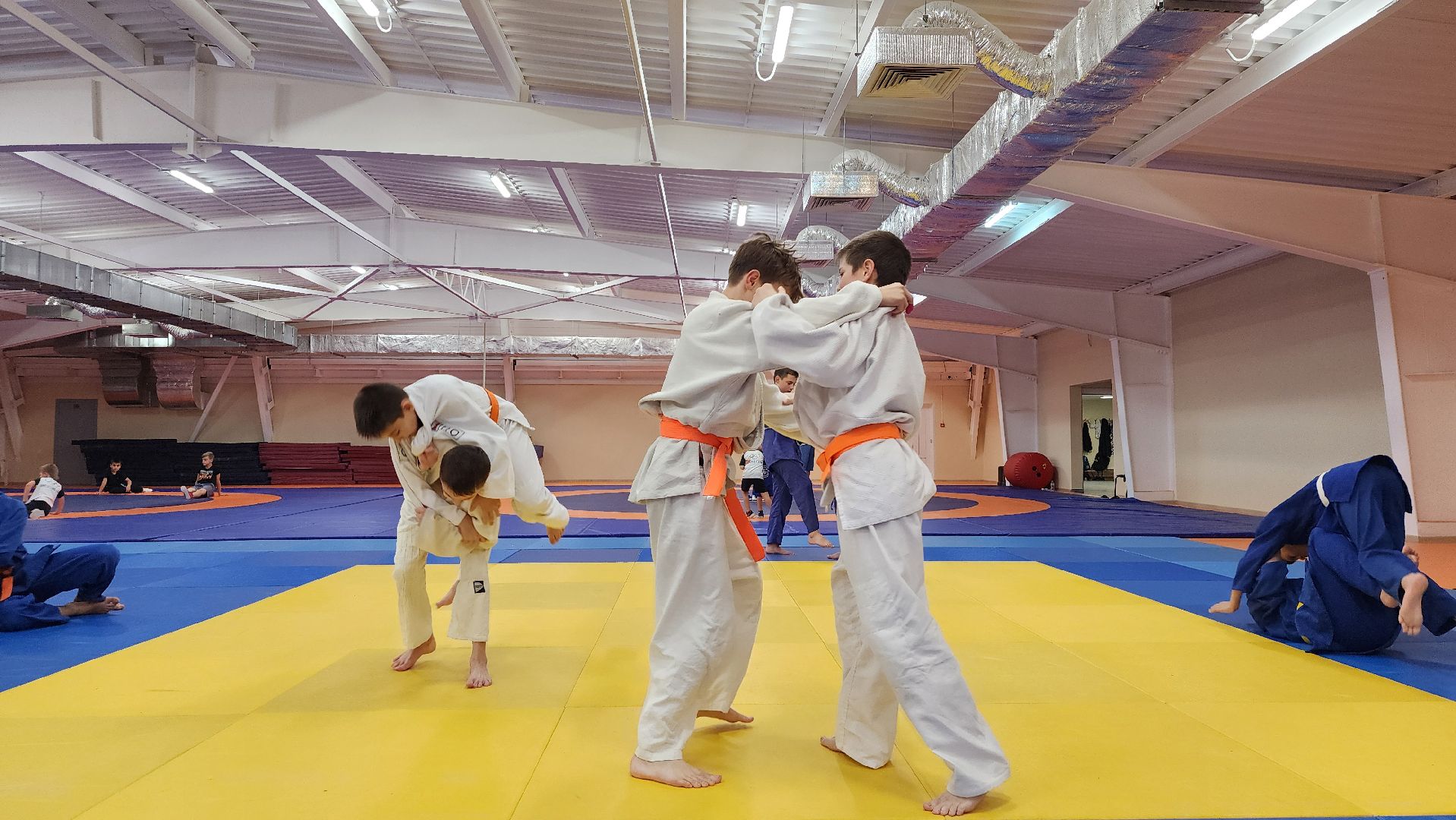 борьба самбо и дзюдо, спорт, спортивная школа олимпийского резерва, Старая Купавна, Богордский городской округ,