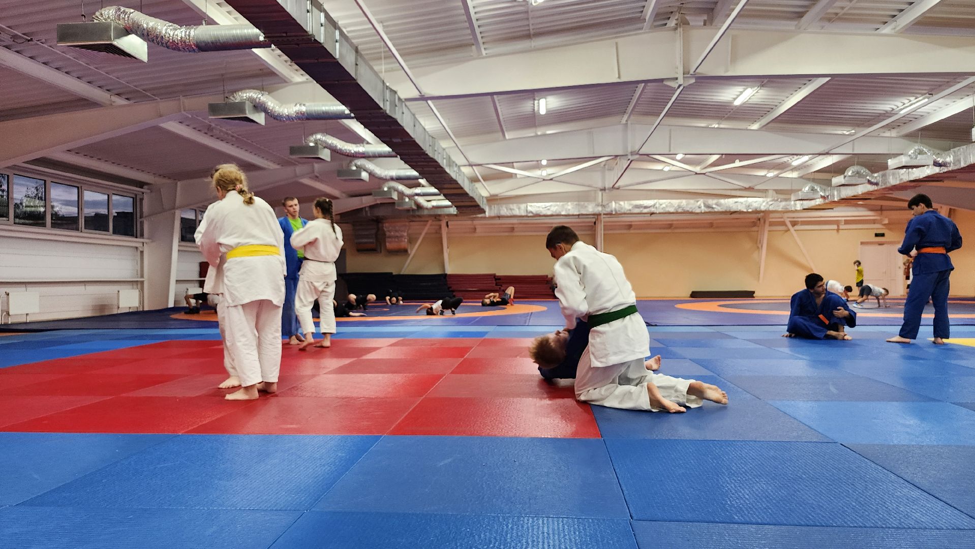 борьба самбо и дзюдо, спорт, спортивная школа олимпийского резерва, Старая Купавна, Богордский городской округ,
