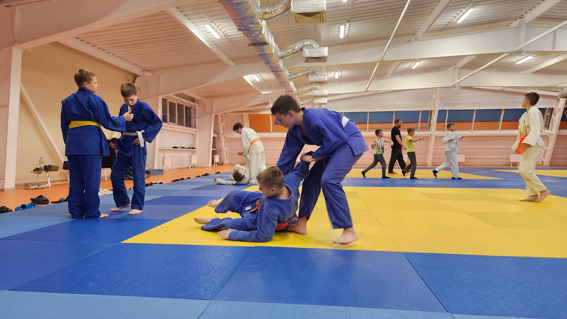 борьба самбо и дзюдо, спорт, спортивная школа олимпийского резерва, Старая Купавна, Богордский городской округ,