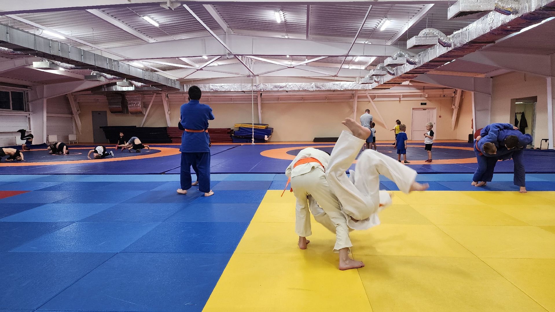 борьба самбо и дзюдо, спорт, спортивная школа олимпийского резерва, Старая Купавна, Богордский городской округ,