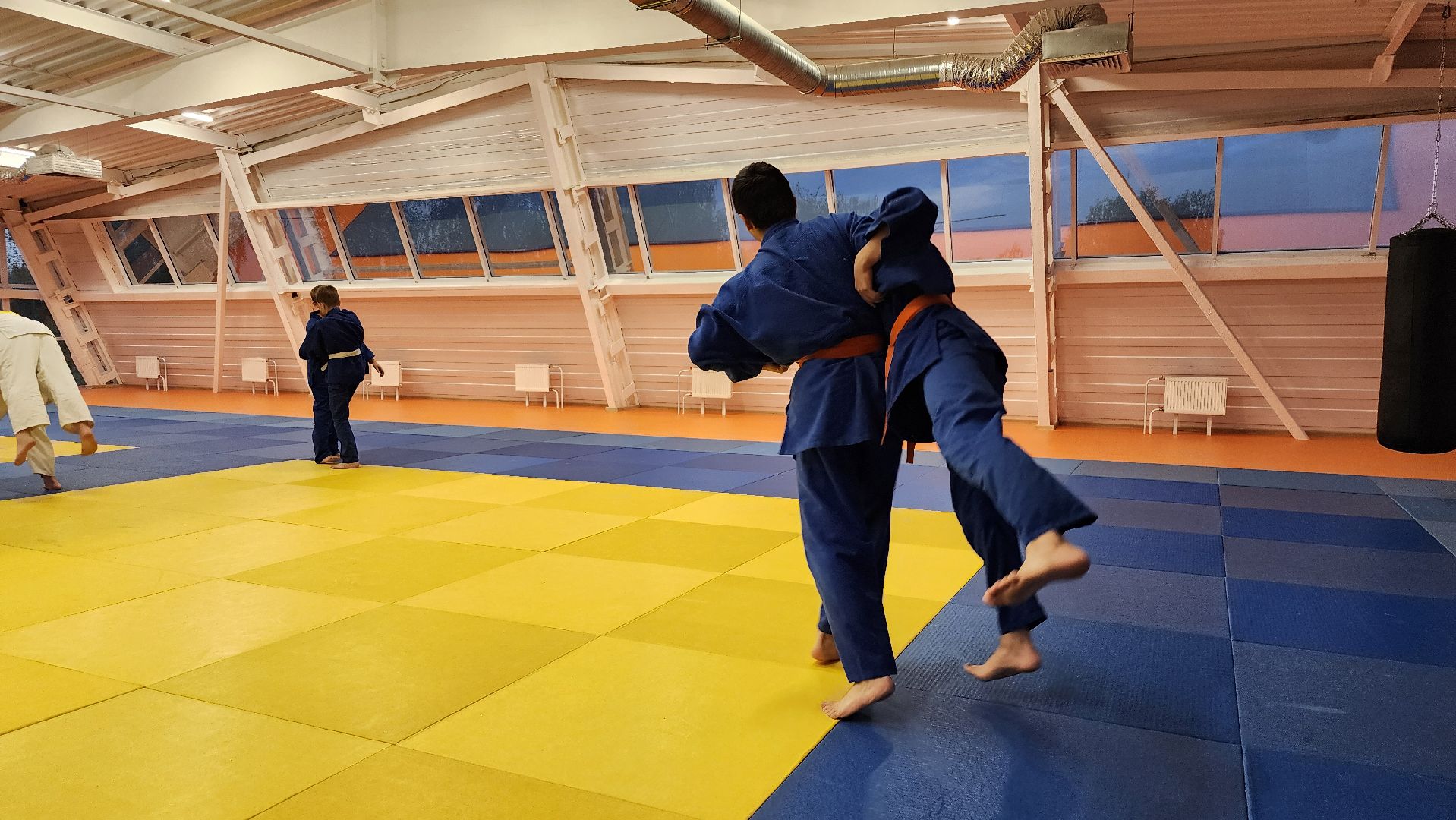 борьба самбо и дзюдо, спорт, спортивная школа олимпийского резерва, Старая Купавна, Богордский городской округ,