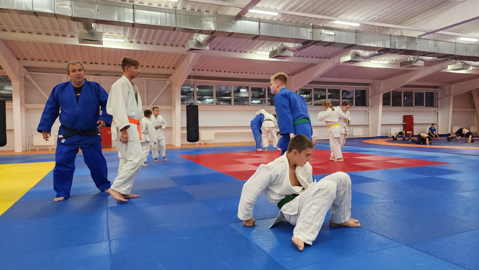 борьба самбо и дзюдо, спорт, спортивная школа олимпийского резерва, Старая Купавна, Богордский городской округ,