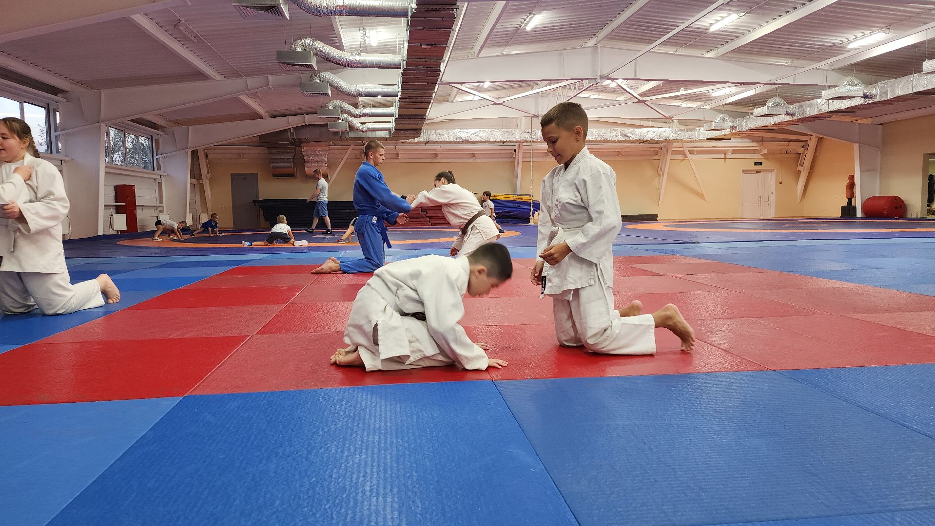 борьба самбо и дзюдо, спорт, спортивная школа олимпийского резерва, Старая Купавна, Богордский городской округ,