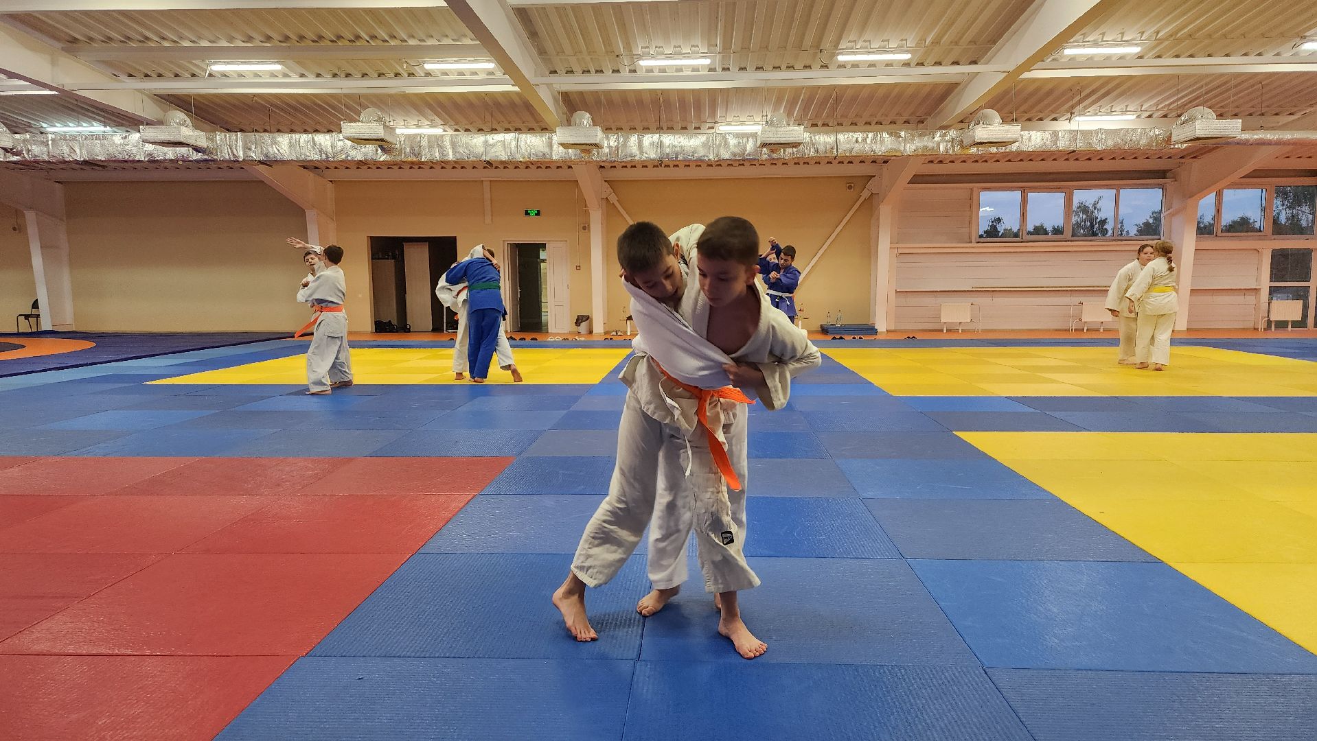 борьба самбо и дзюдо, спорт, спортивная школа олимпийского резерва, Старая Купавна, Богордский городской округ,