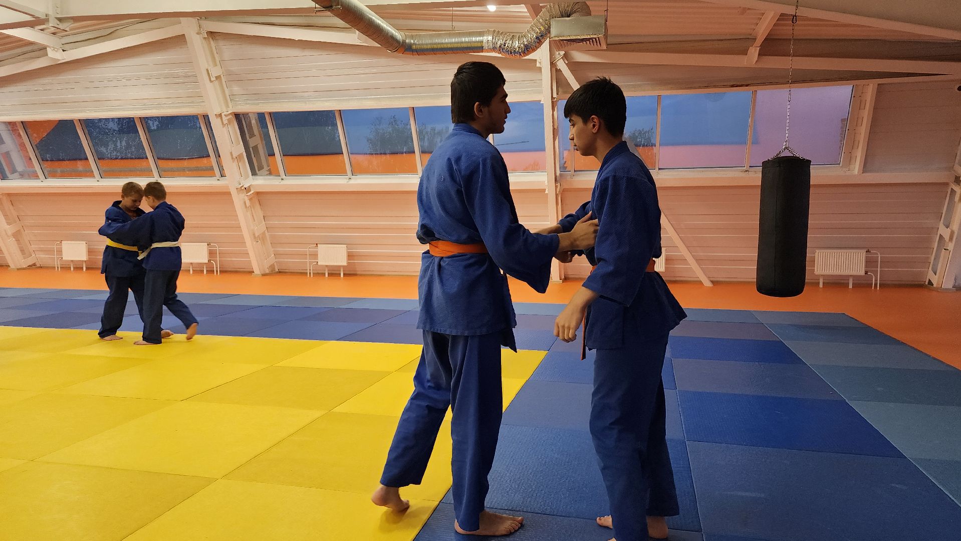 борьба самбо и дзюдо, спорт, спортивная школа олимпийского резерва, Старая Купавна, Богордский городской округ,