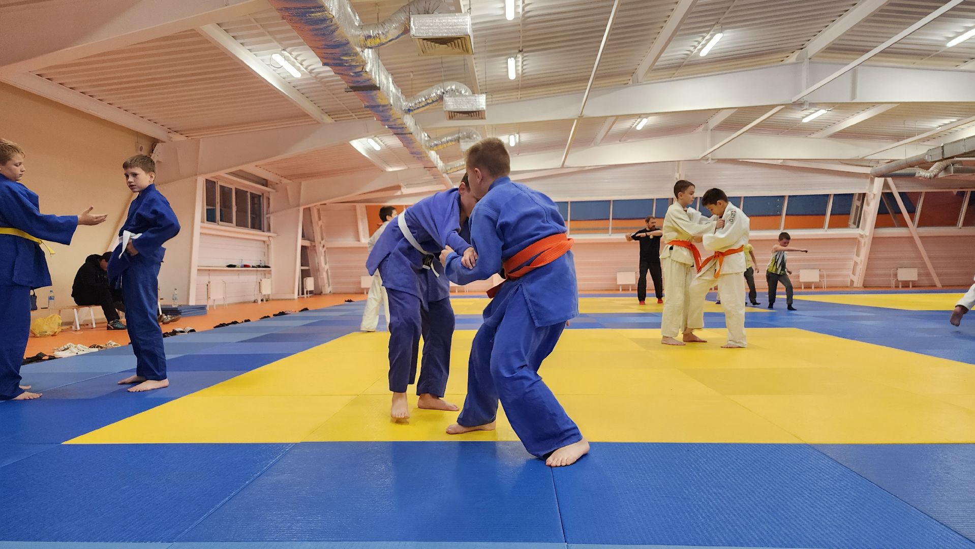 борьба самбо и дзюдо, спорт, спортивная школа олимпийского резерва, Старая Купавна, Богордский городской округ,
