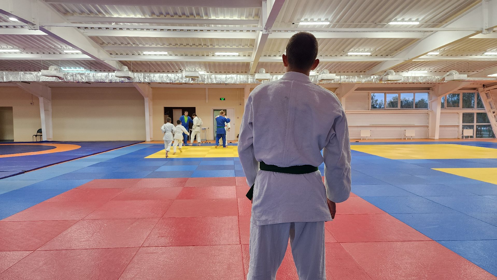 борьба самбо и дзюдо, спорт, спортивная школа олимпийского резерва, Старая Купавна, Богордский городской округ,