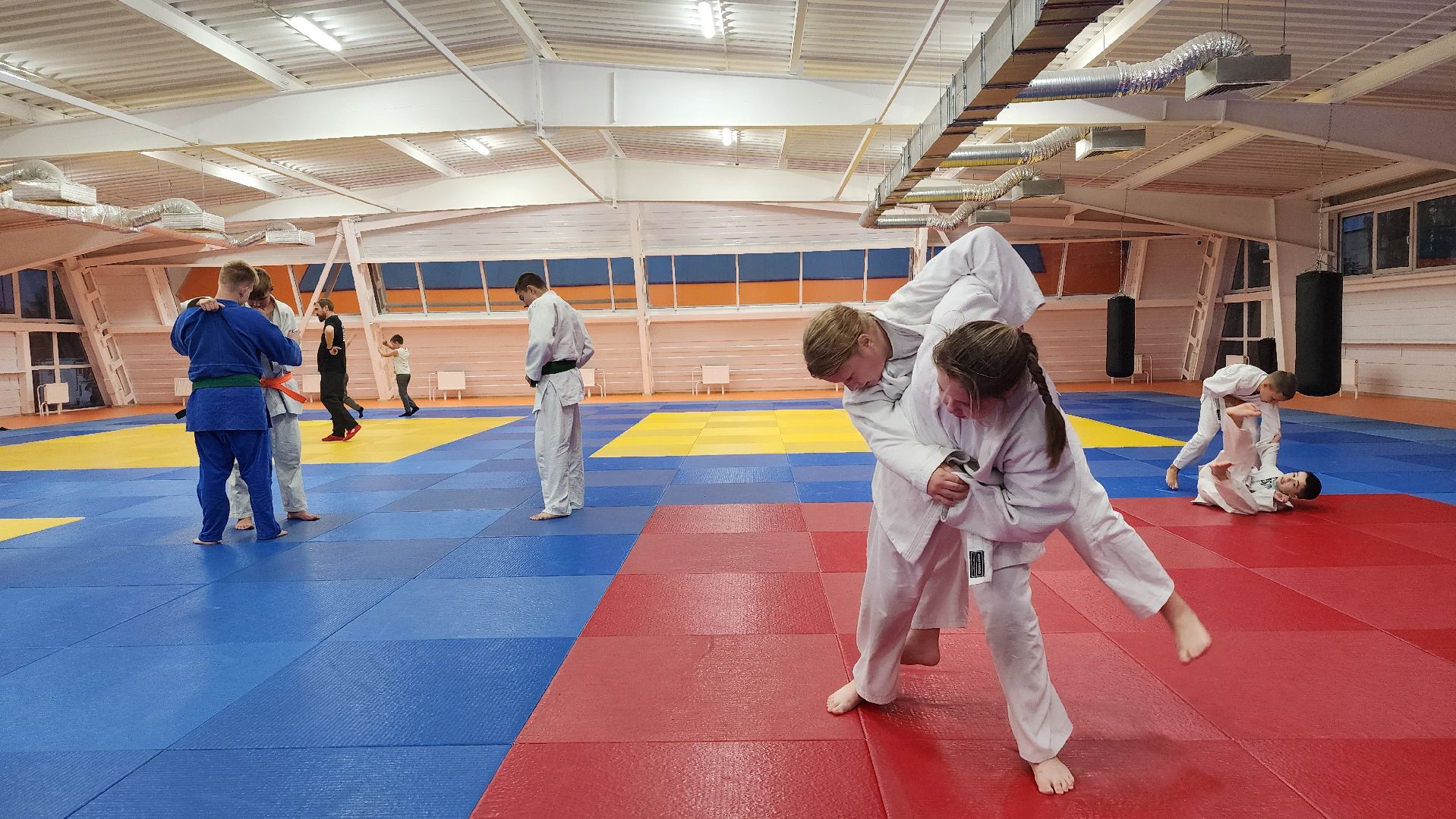 борьба самбо и дзюдо, спорт, спортивная школа олимпийского резерва, Старая Купавна, Богордский городской округ,