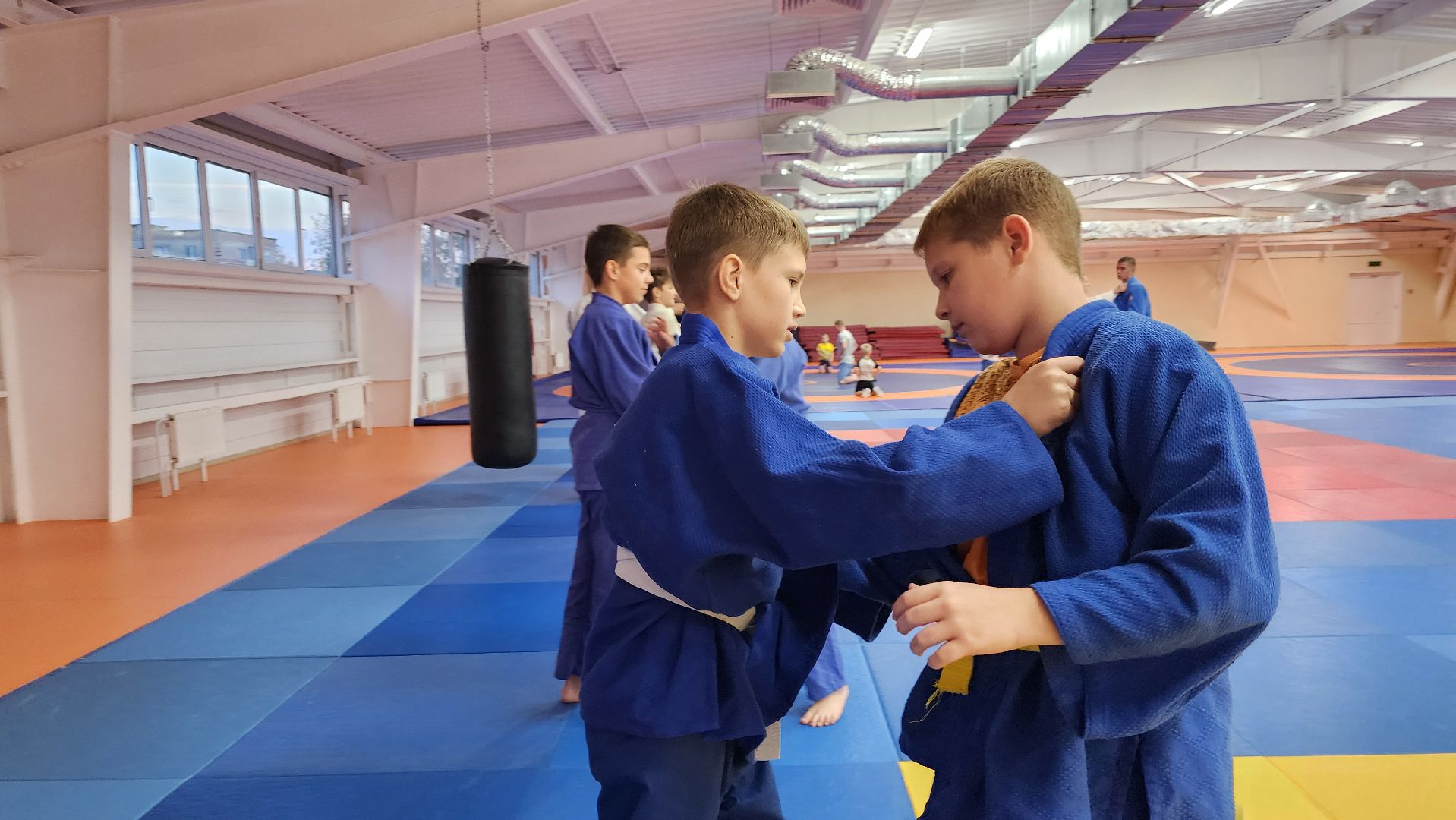 борьба самбо и дзюдо, спорт, спортивная школа олимпийского резерва, Старая Купавна, Богордский городской округ,