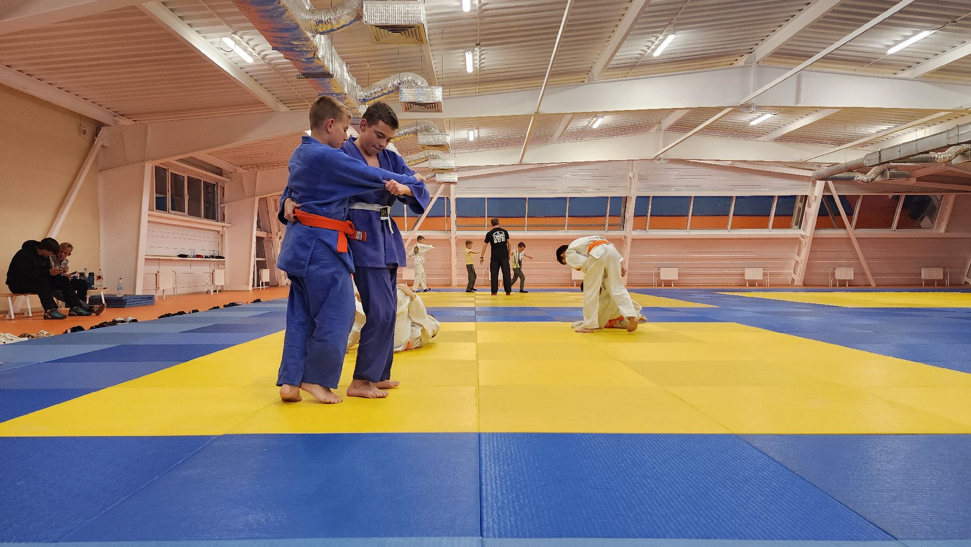 борьба самбо и дзюдо, спорт, спортивная школа олимпийского резерва, Старая Купавна, Богордский городской округ,