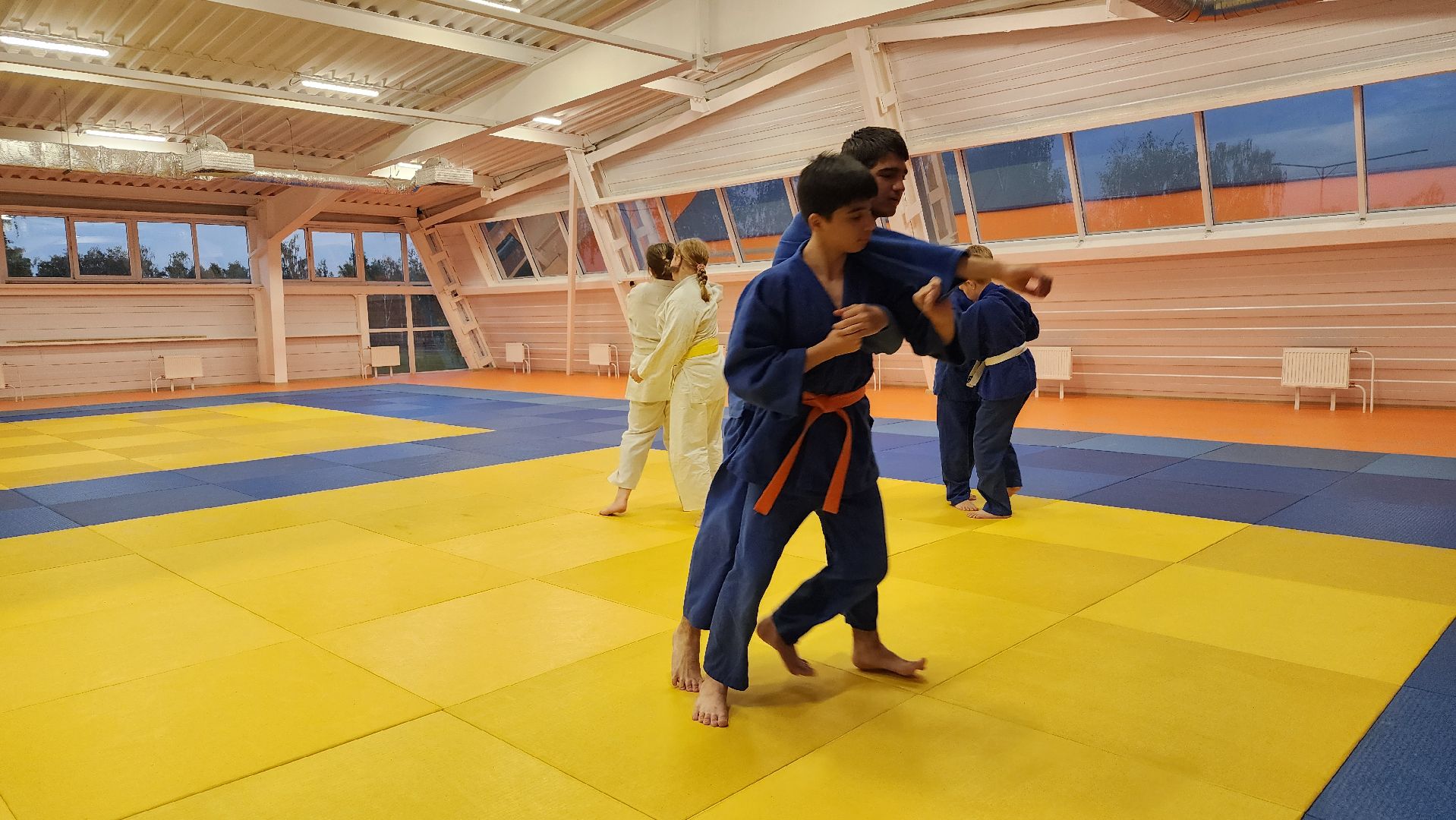 борьба самбо и дзюдо, спорт, спортивная школа олимпийского резерва, Старая Купавна, Богордский городской округ,