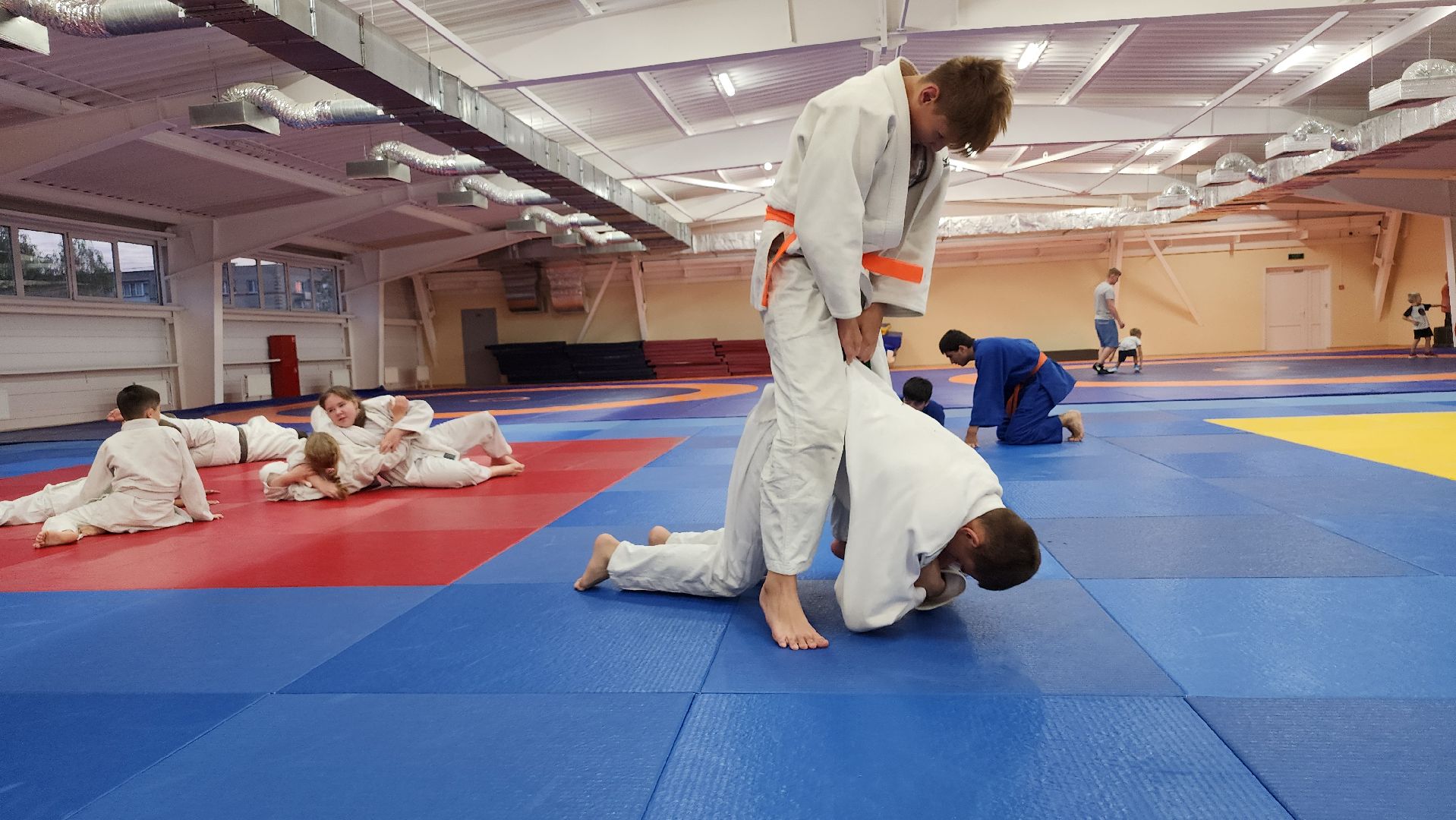 борьба самбо и дзюдо, спорт, спортивная школа олимпийского резерва, Старая Купавна, Богордский городской округ,