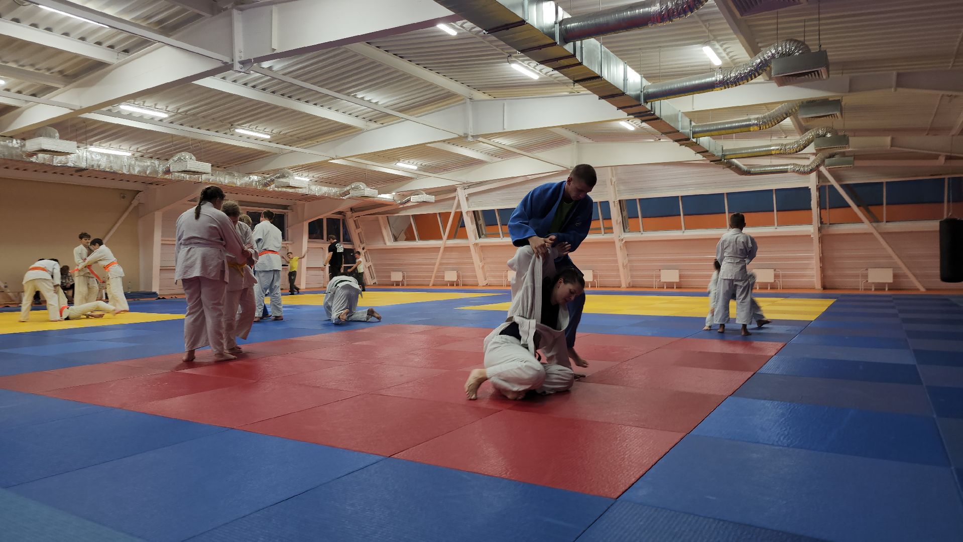 борьба самбо и дзюдо, спорт, спортивная школа олимпийского резерва, Старая Купавна, Богордский городской округ,