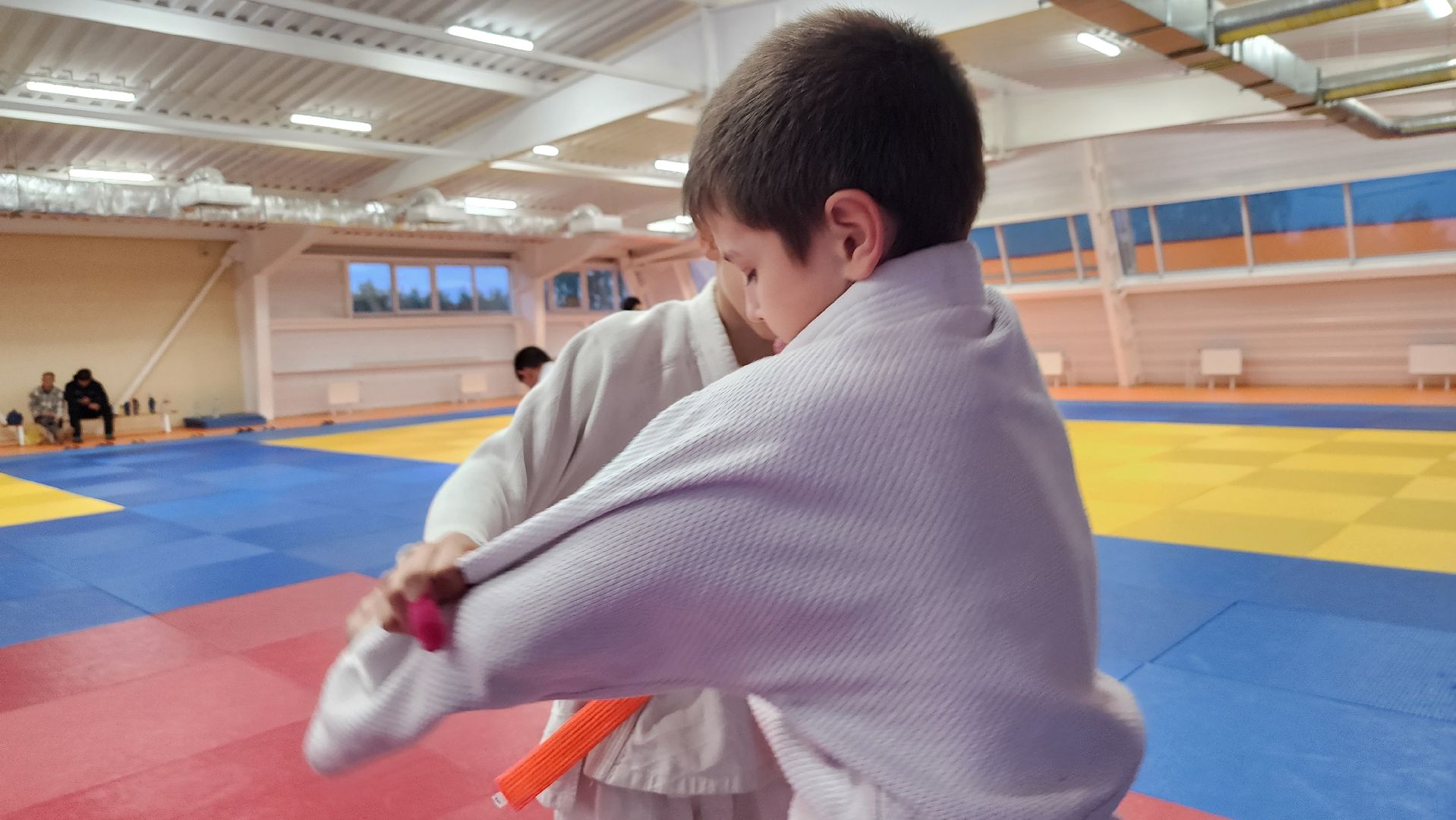 борьба самбо и дзюдо, спорт, спортивная школа олимпийского резерва, Старая Купавна, Богордский городской округ,